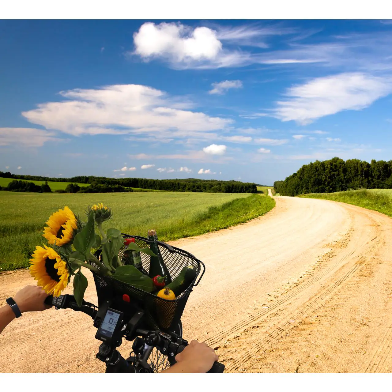 Fischer E-Bike Lenkerkorb PROLINE engmaschig 260x250x340mm