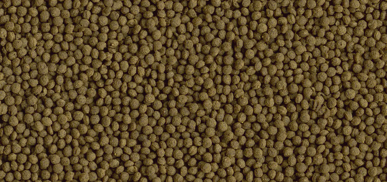 Tetra Goldfish Menu 250 ml