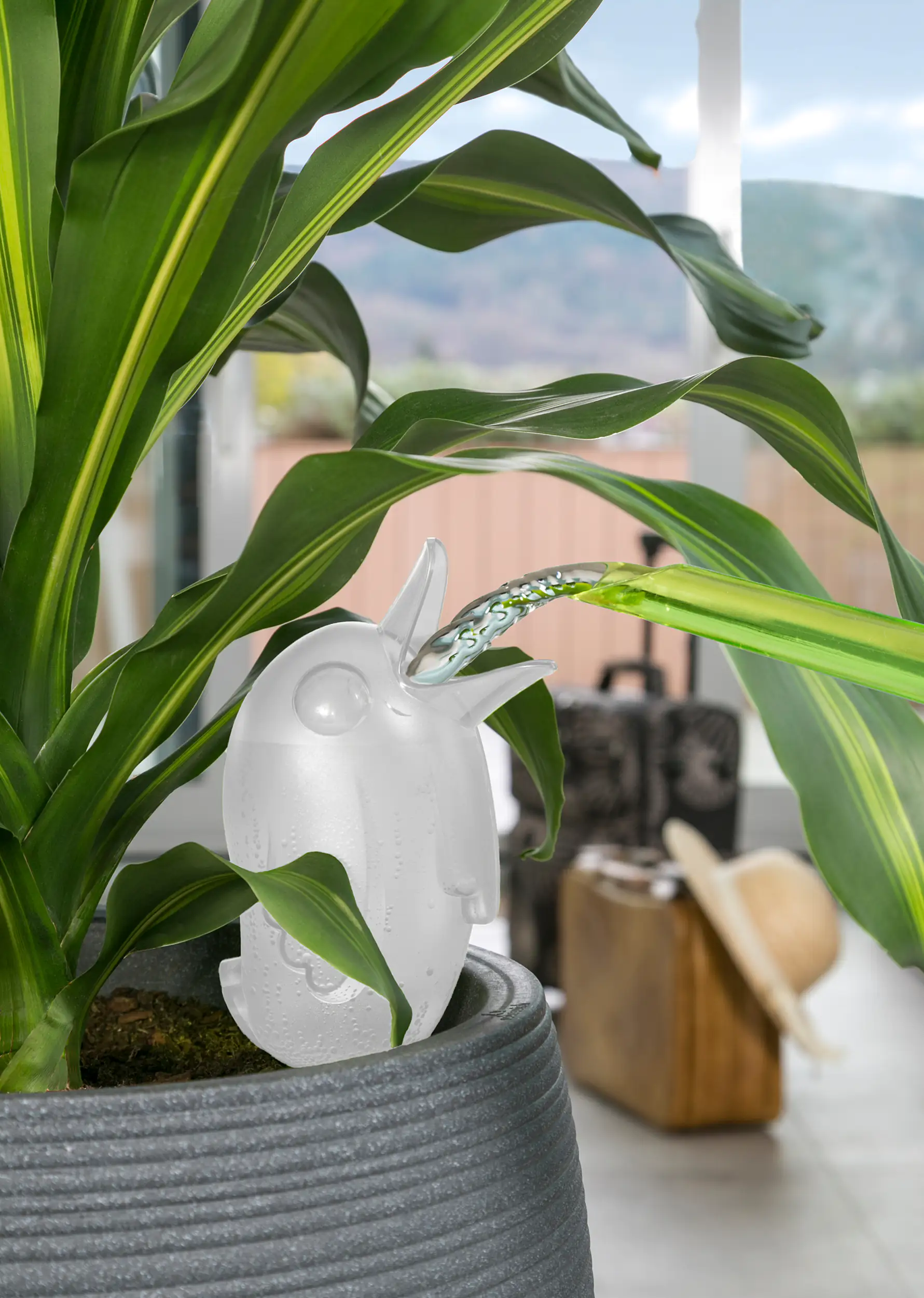 Scheurich Bewässerungshilfe Bördy groß transparent 20 cm Scheurich Bewässerungshilfe Bördy groß transparent 20 cm