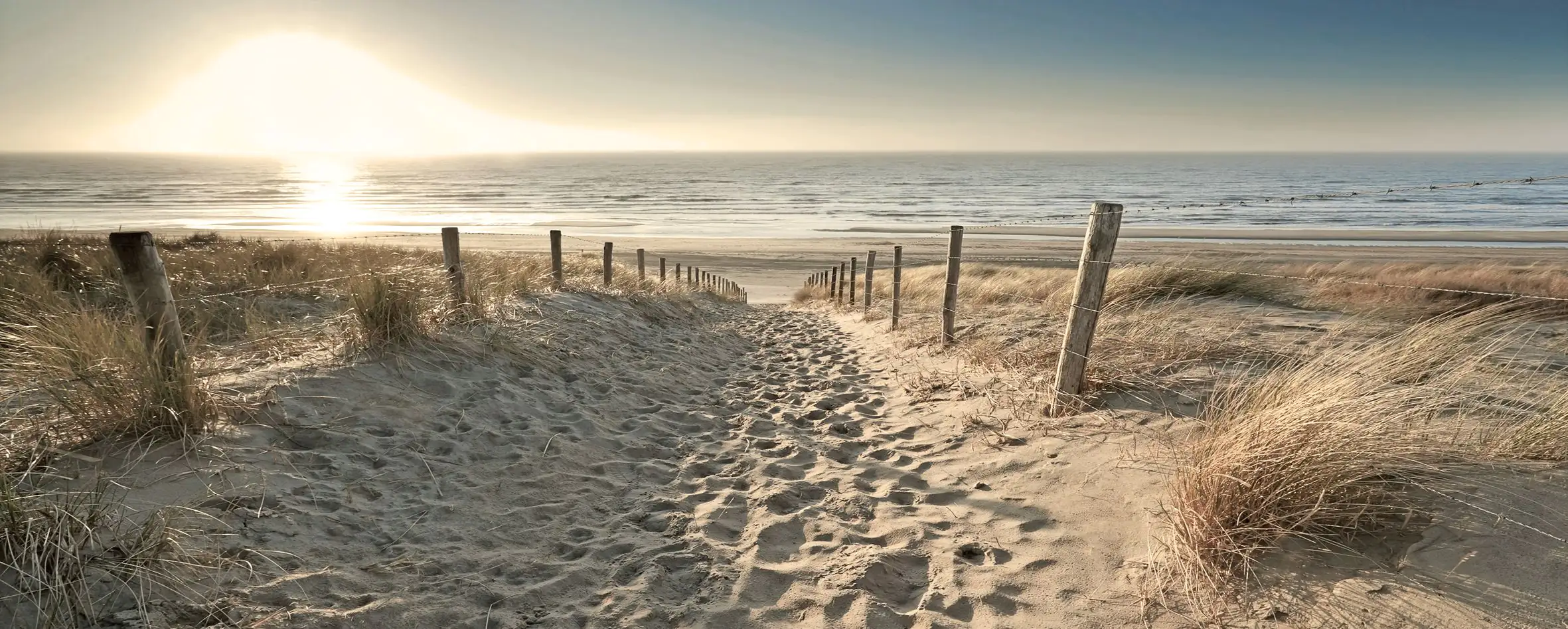 Deco-Glas Bild - Medow Beaches 125 x 50 cm