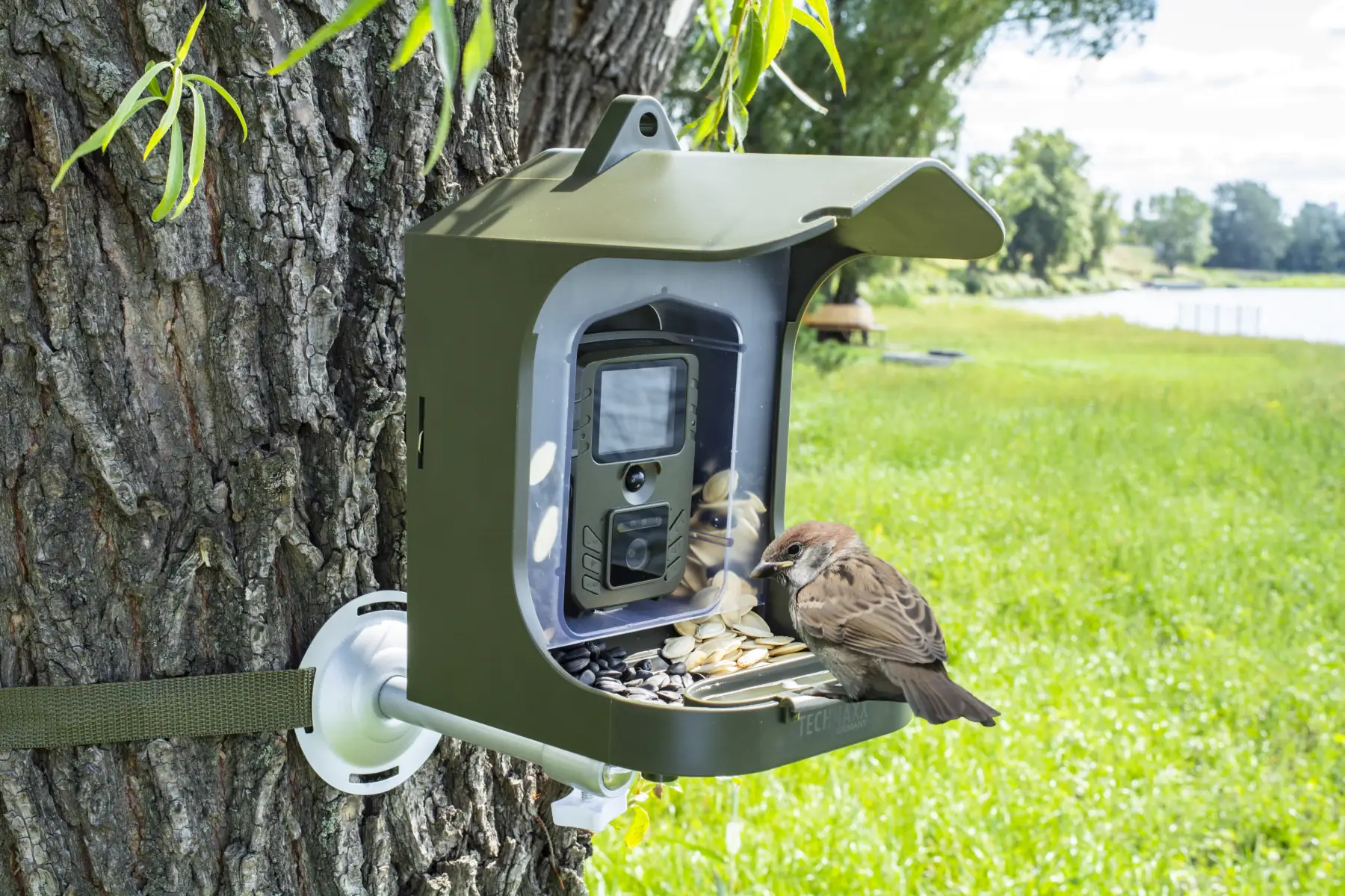 Technaxx Vogelkamera Birdcam TX-165 Full HD, Nachtmodus Technaxx Vogelkamera Birdcam TX-165 Full HD, Nachtmodus