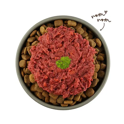 Bosch Freshe Schnauze Hundenssfutter Adult 200 g erdig rotes Ackergemüse