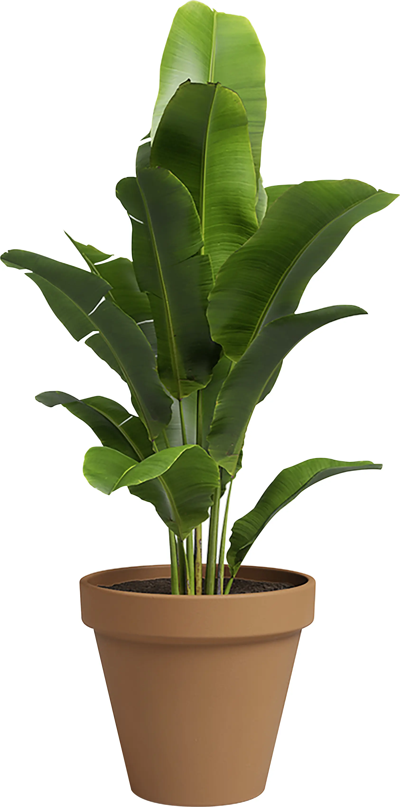 Artevasi Pflanztopf Emília Terrakotta tonrot Ø 29 x 26 cm