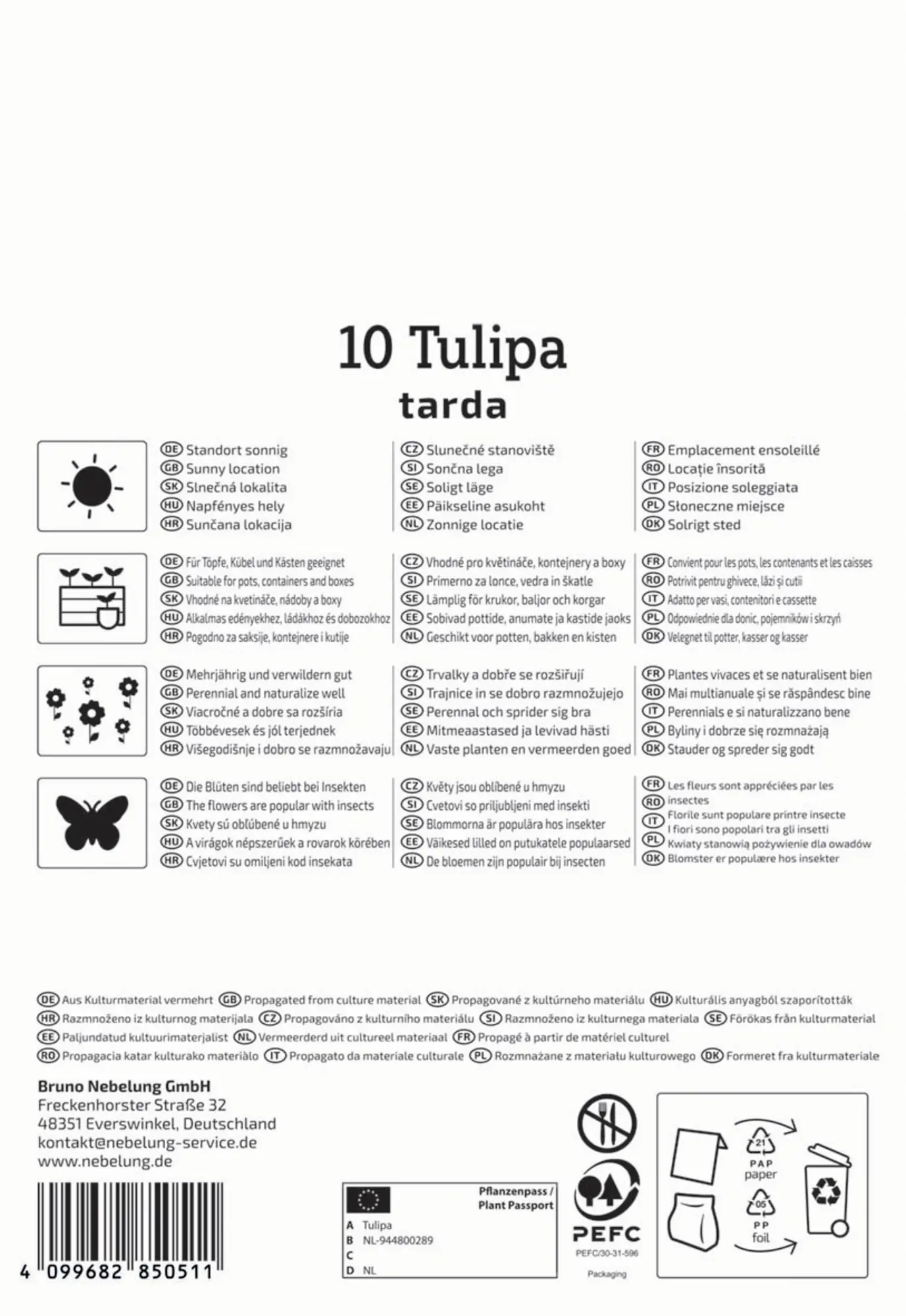 Kiepenkerl Herbstblumenzwiebel Wildtulpe Tulipa tarda 10 Stück