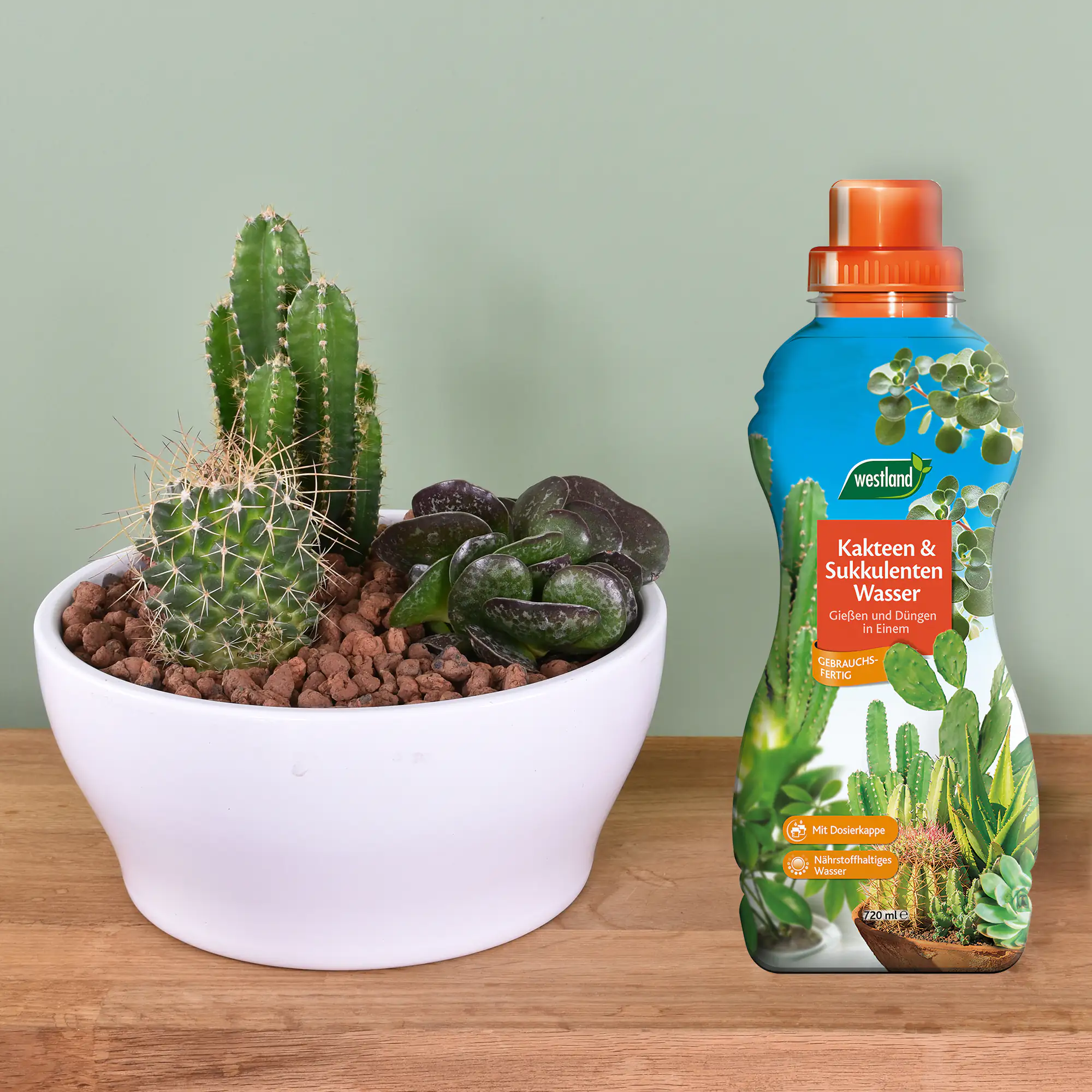 Westland Kakteen- & Sukkulenten Wasser 720 ml Westland Kakteen- & Sukkulenten Wasser 720 ml