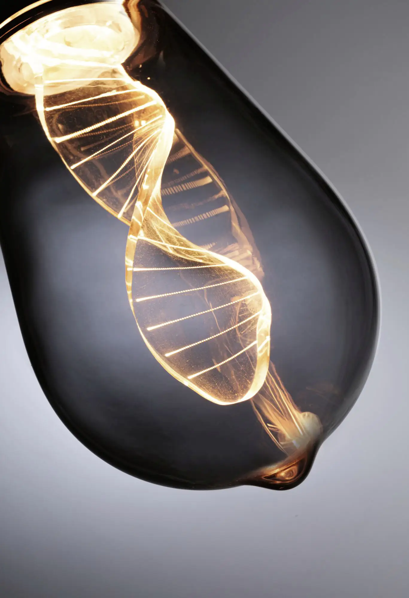 Paulmann LED Leuchtmittel Inner Glow Helix Edison E27 3,5W rauch Paulmann LED Leuchtmittel Inner Glow Helix Edison E27 3,5W rauch