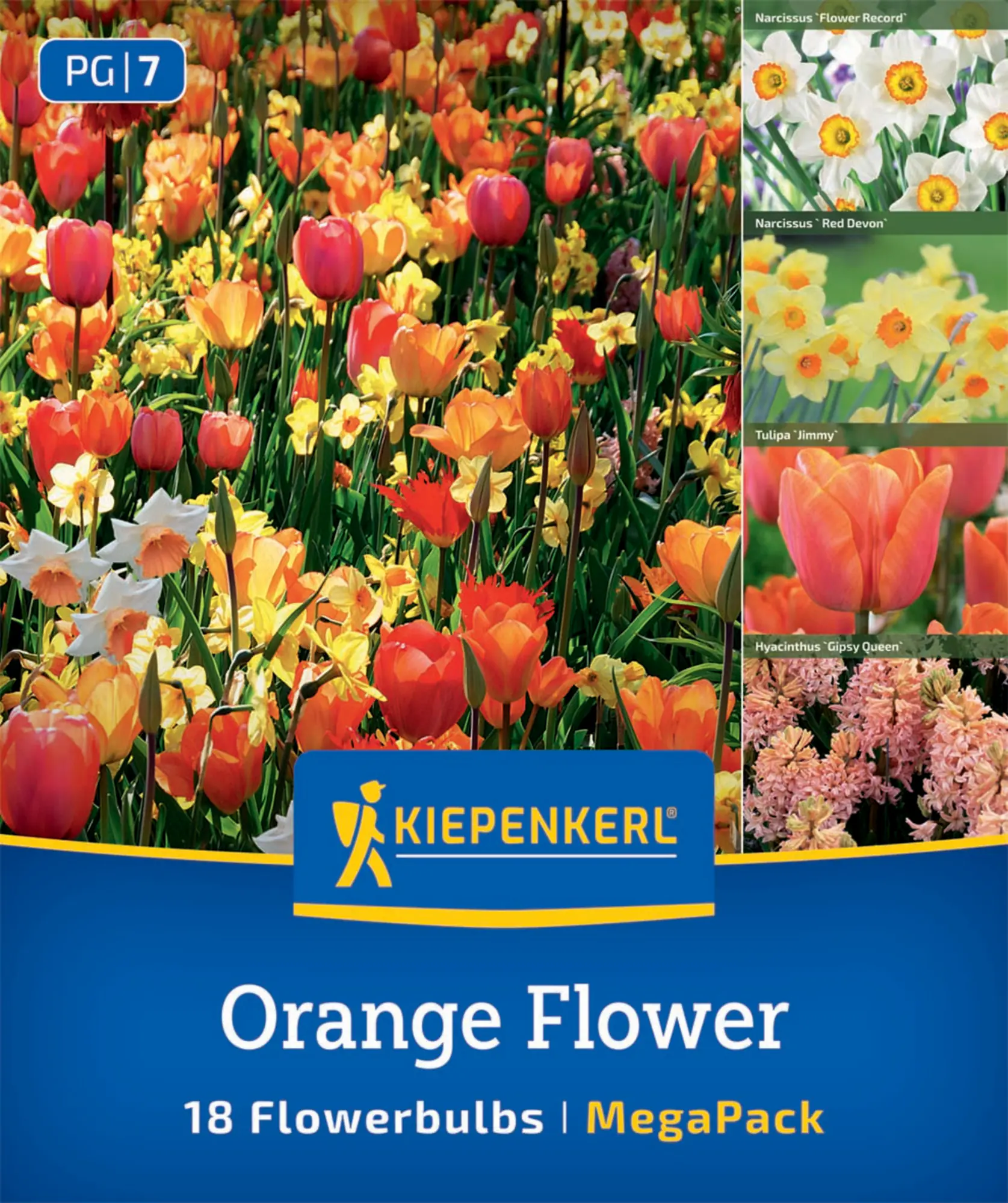 Kiepenkerl Herbstblumenzwiebel Artenmischung Orange Flower Mix 18 Stück