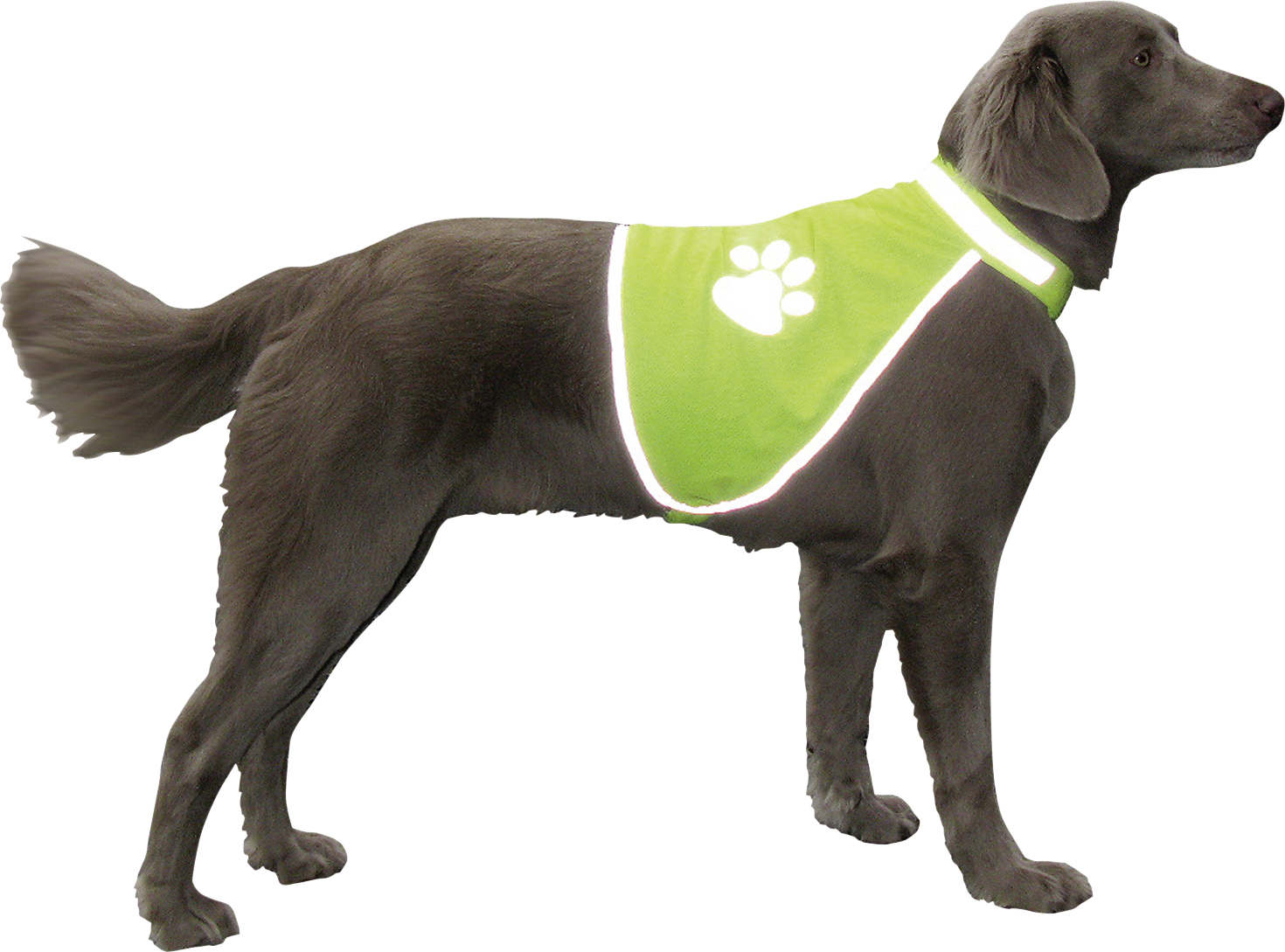 Nobby Sicherheitsweste für Hunde neon