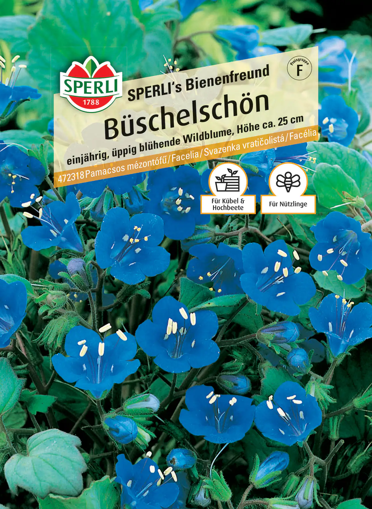 Sperli Büschelschön SPERLI's Bienenfreund