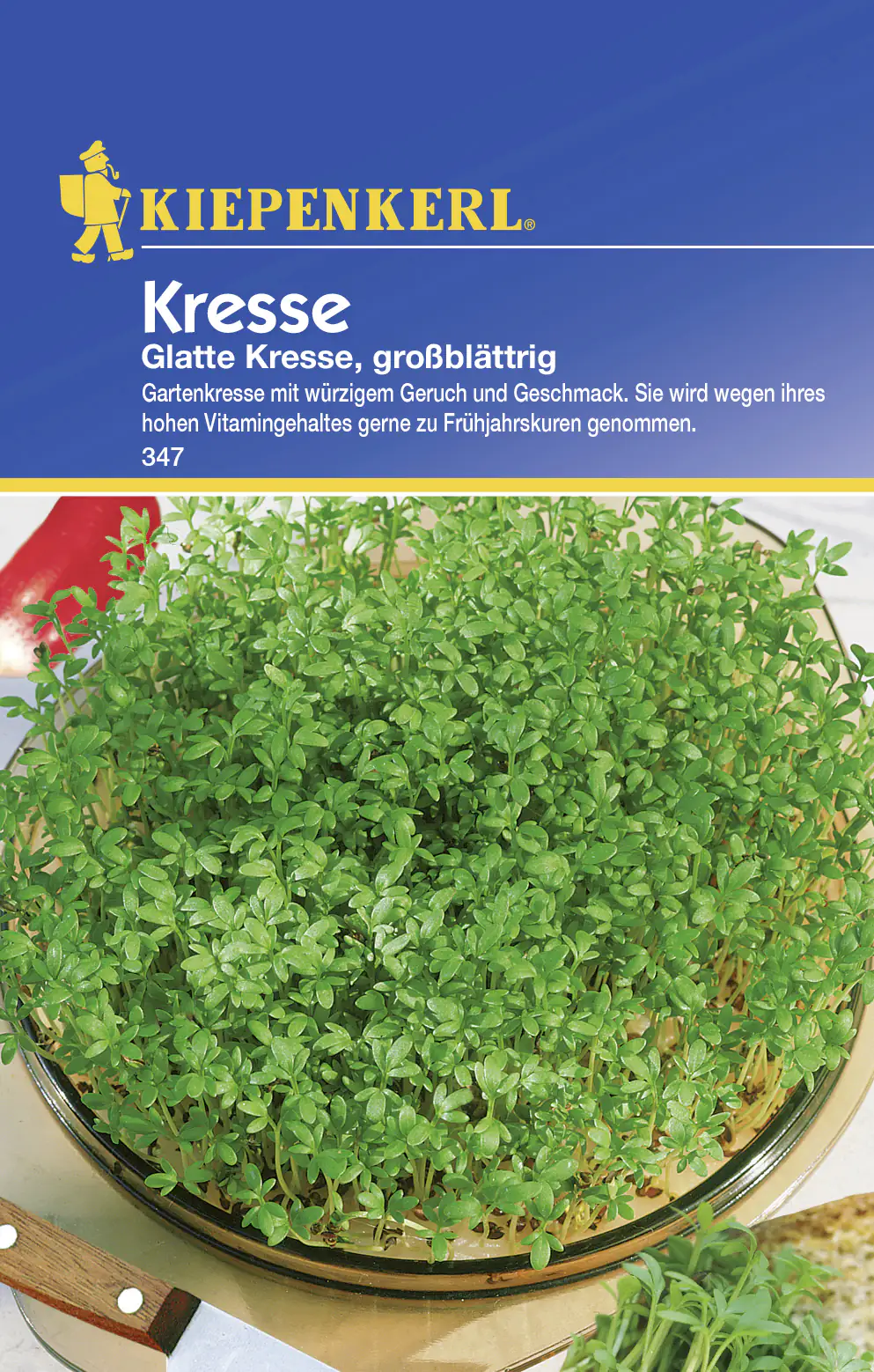 Kiepenkerl Kresse Glatte Kresse Lepidium sativum, Inhalt: ca. 0,5 m² Kiepenkerl Kresse Glatte Kresse Lepidium sativum, Inhalt: ca. 0,5 m²