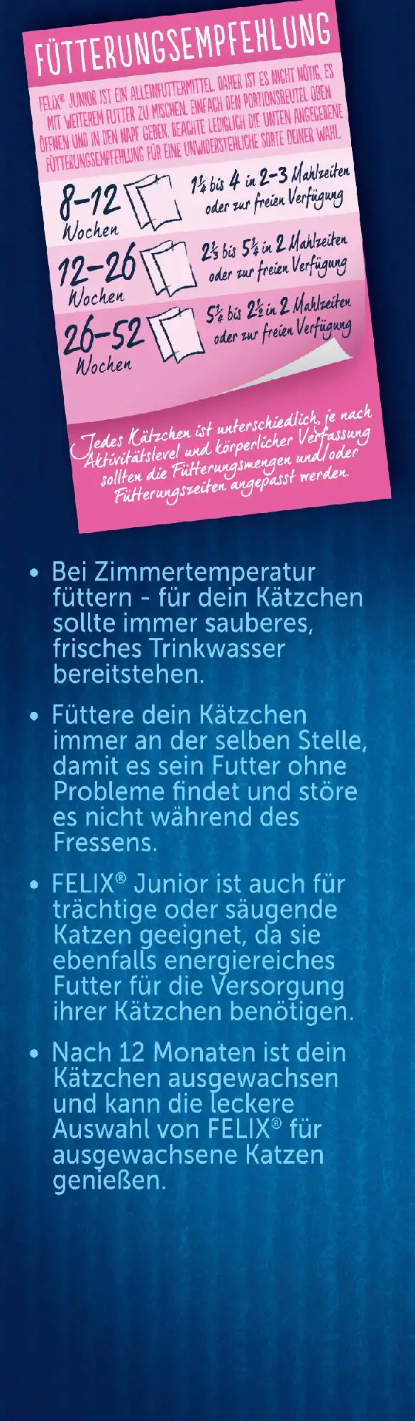Felix Junior Gemischte Vielfalt in Gelee Katzenfutter 12 x 85g