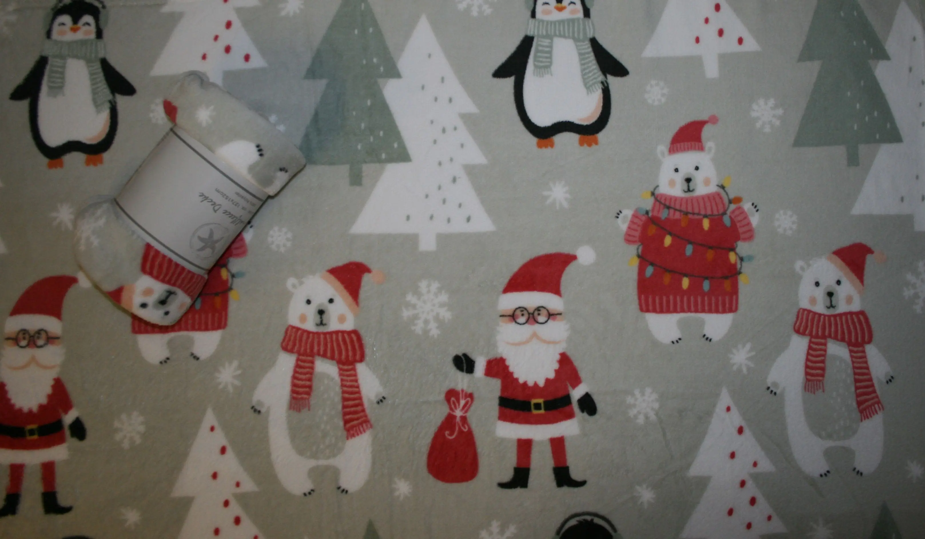 Casa Colori Weihnachts-Fleece Decke mit Pinguin & Santa