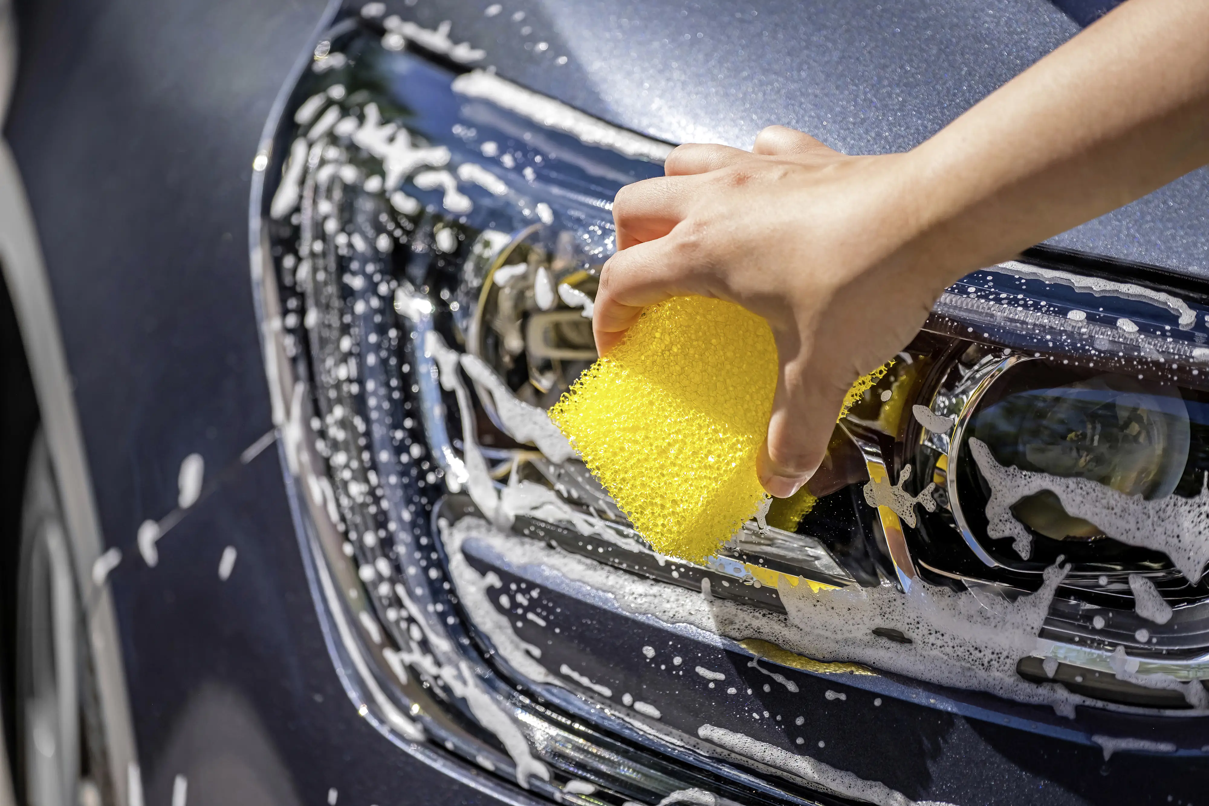 APA Insektenschwamm 10x7x3,5cm