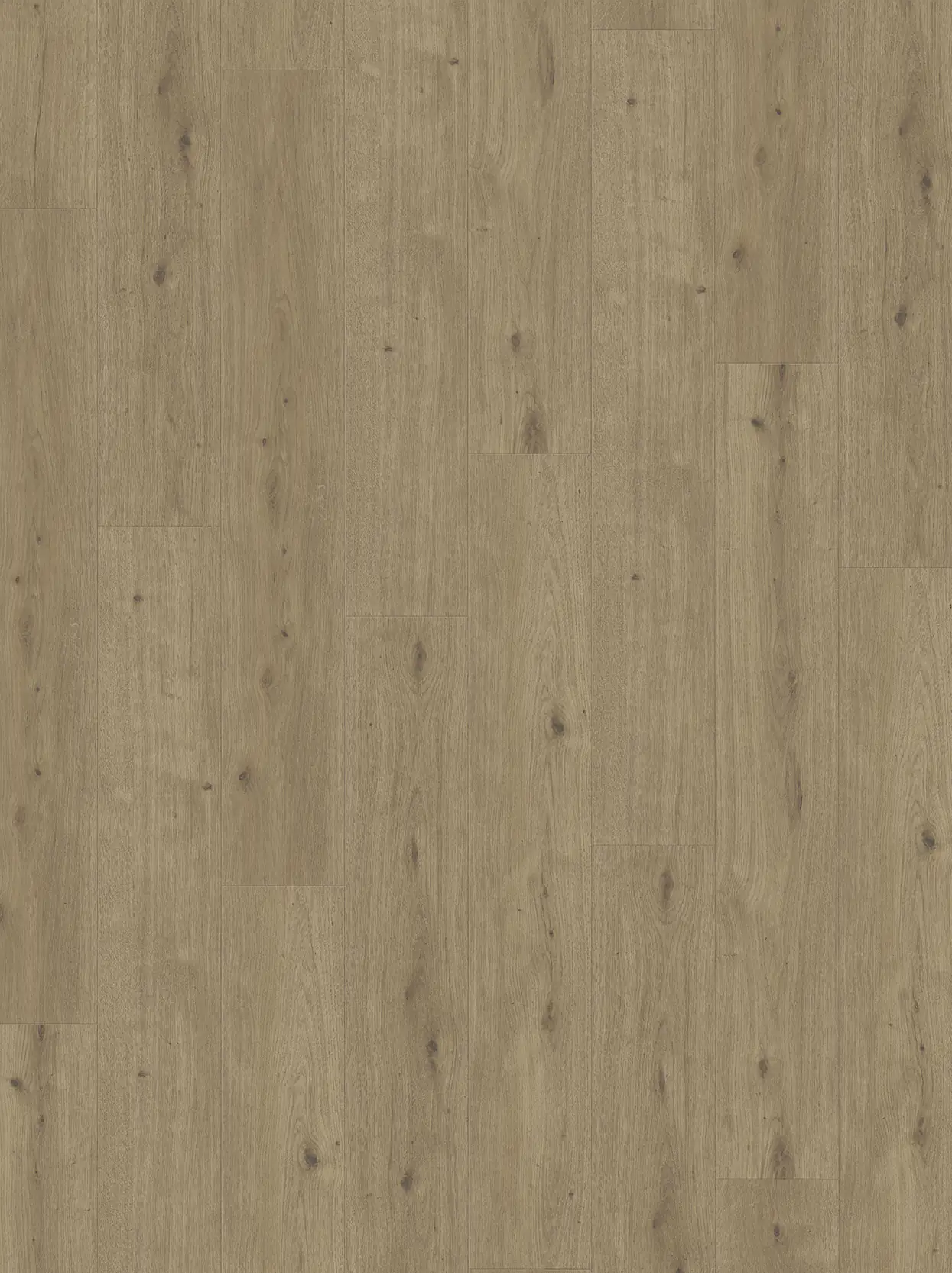 Parador Designboden Modular ONE Eiche Atmosphere umbra Authentische Struktur