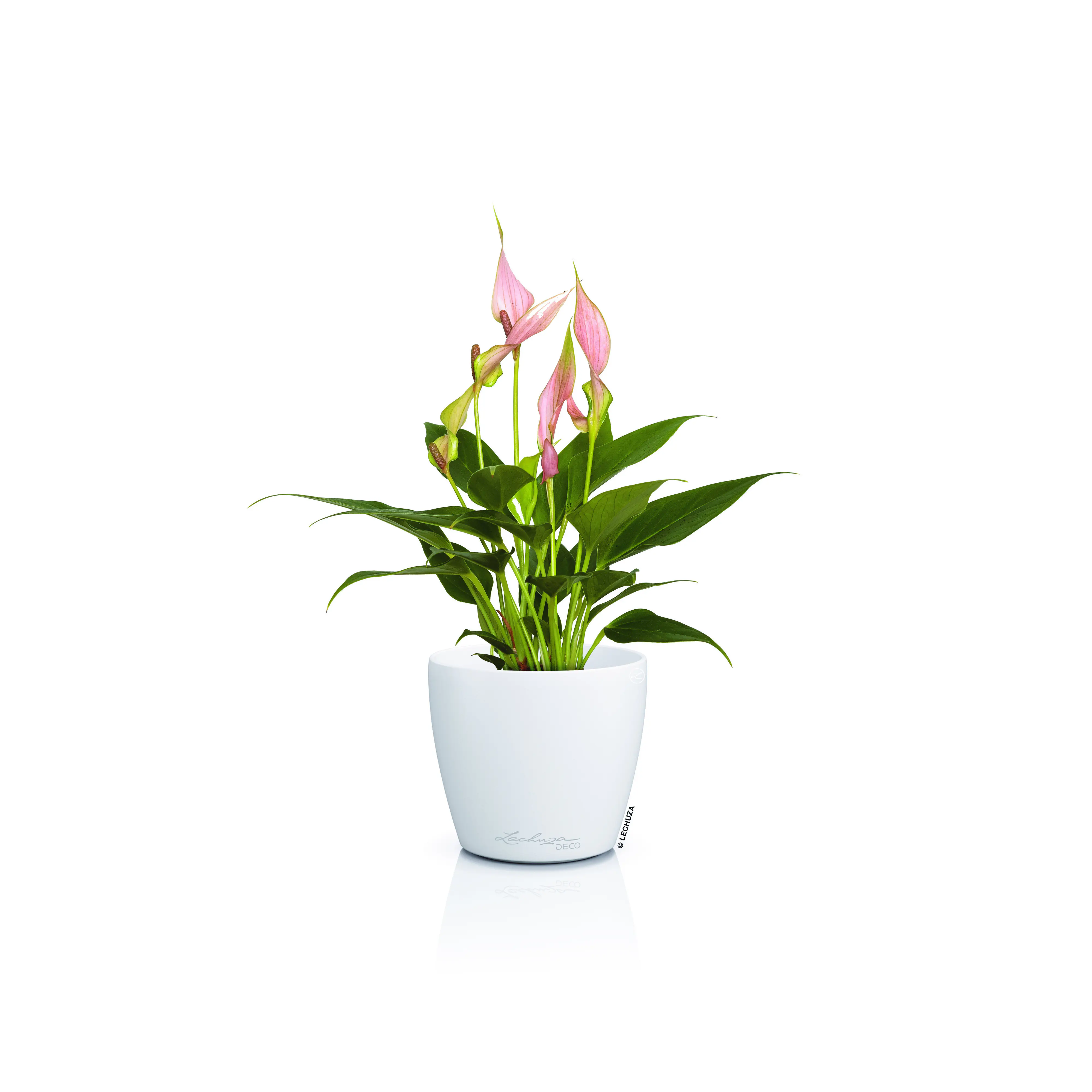 Lechuza Pflanztopf Deco 10 Ø 11,1 x 10 cm weiß
