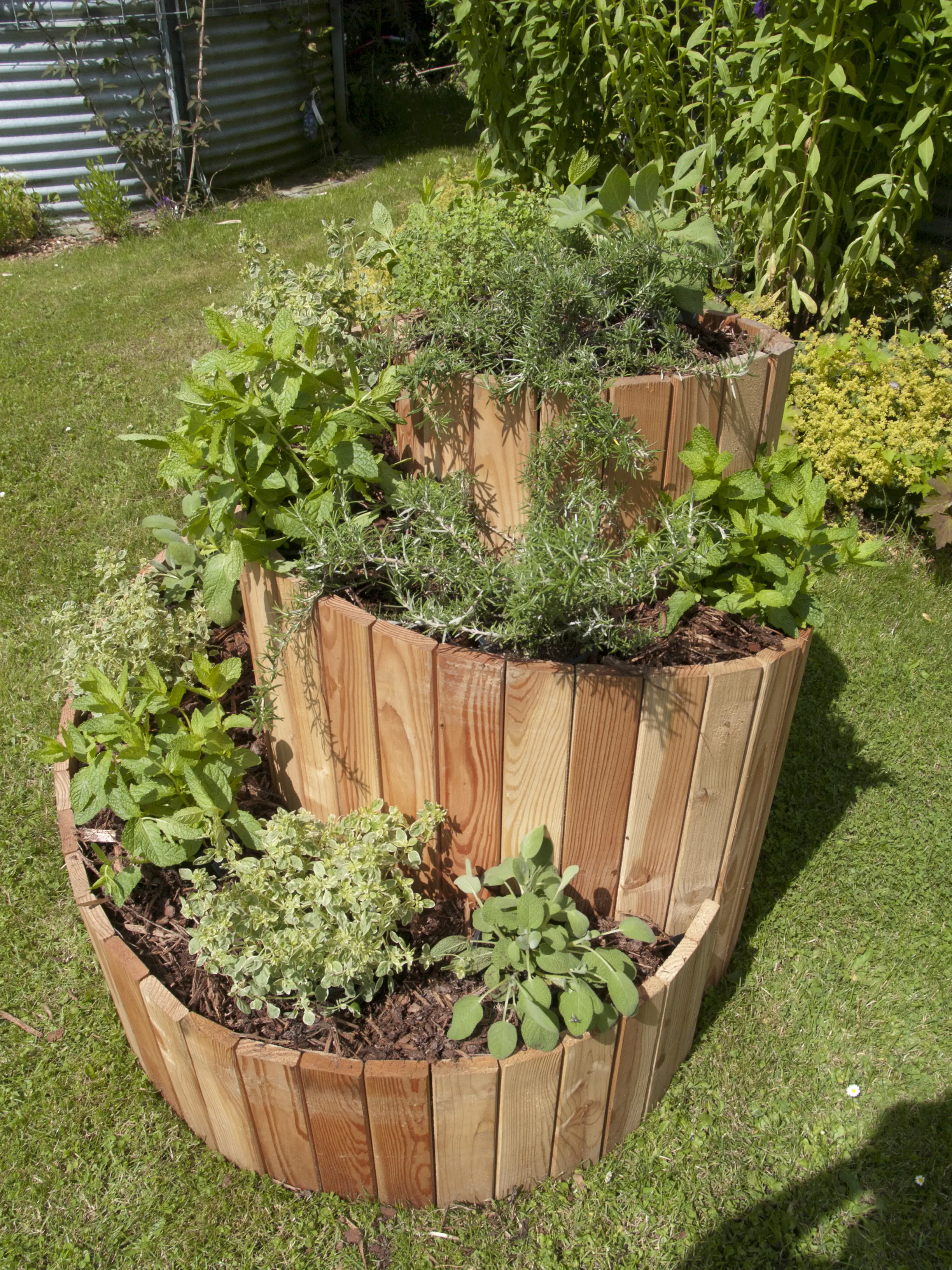 Kiehnholz Kräuterschnecke 80 x 600 cm