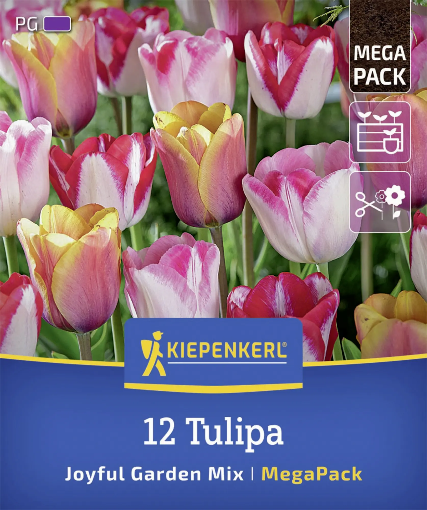 Kiepenkerl Herbstblumenzwiebelmischung Mega-Pack Joyful Garden 12 Stück