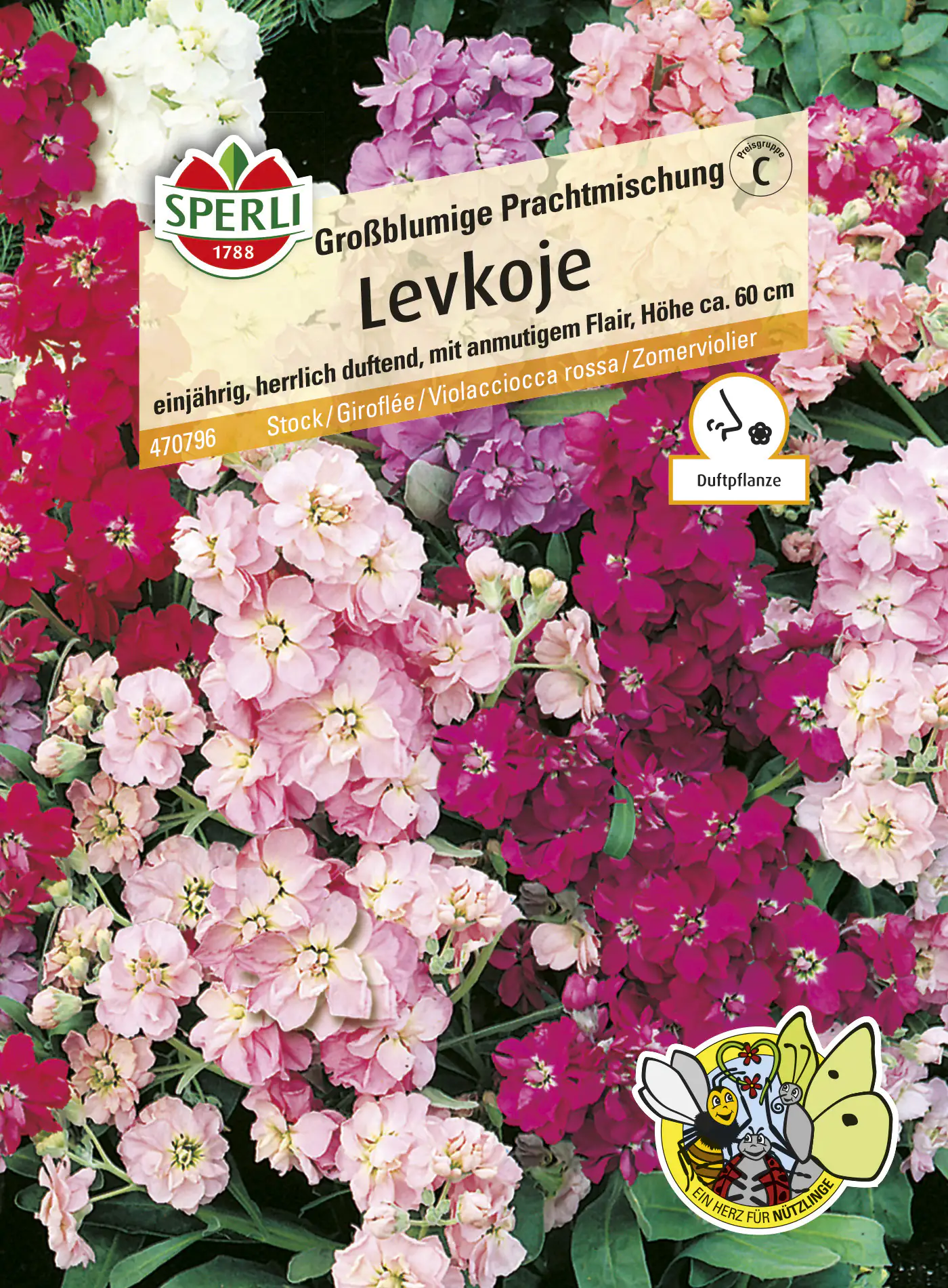 Sperli Levkoje Großblumige Prachtmischung