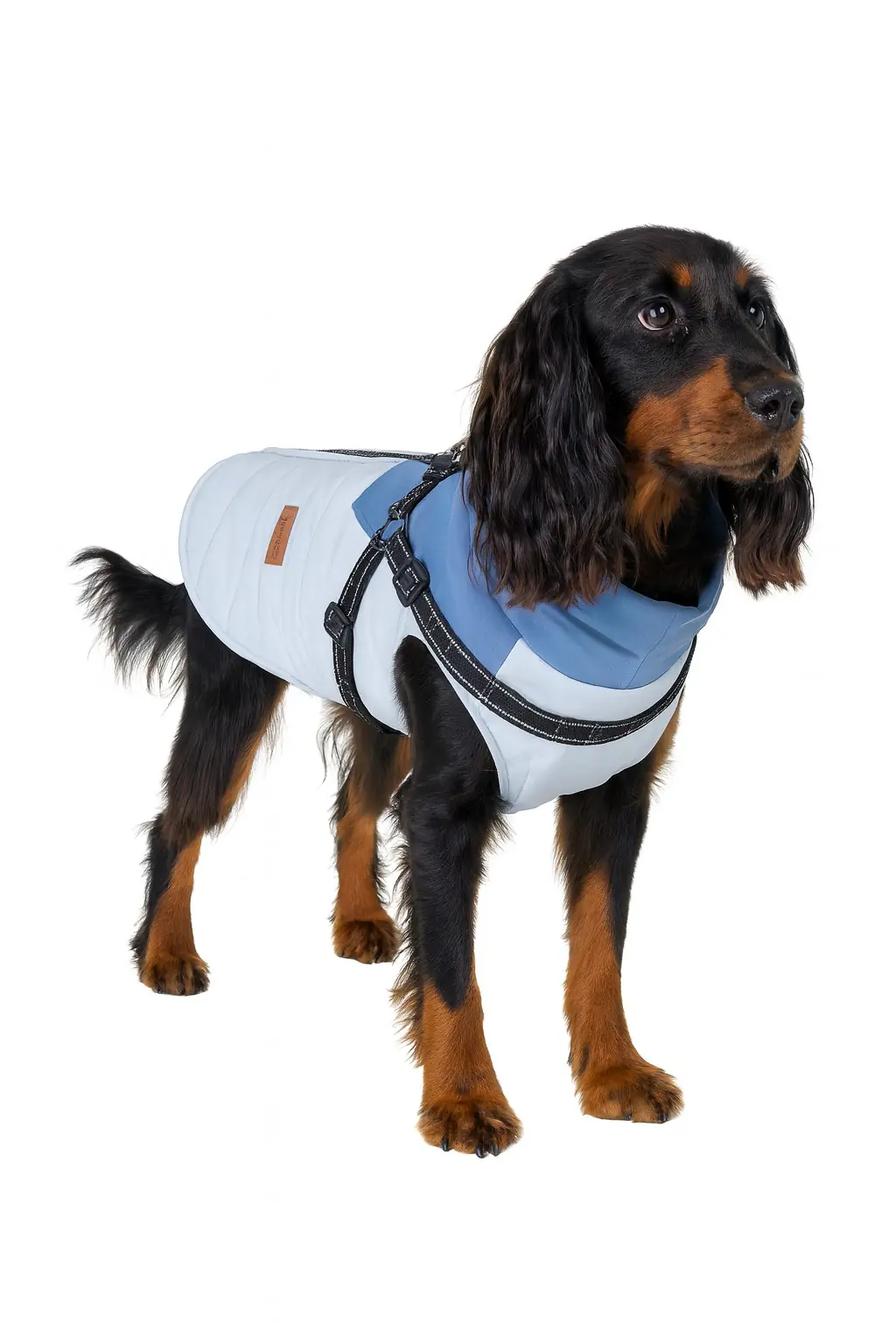 Nobby Hundemantel Jona 2 in 1 hellblau