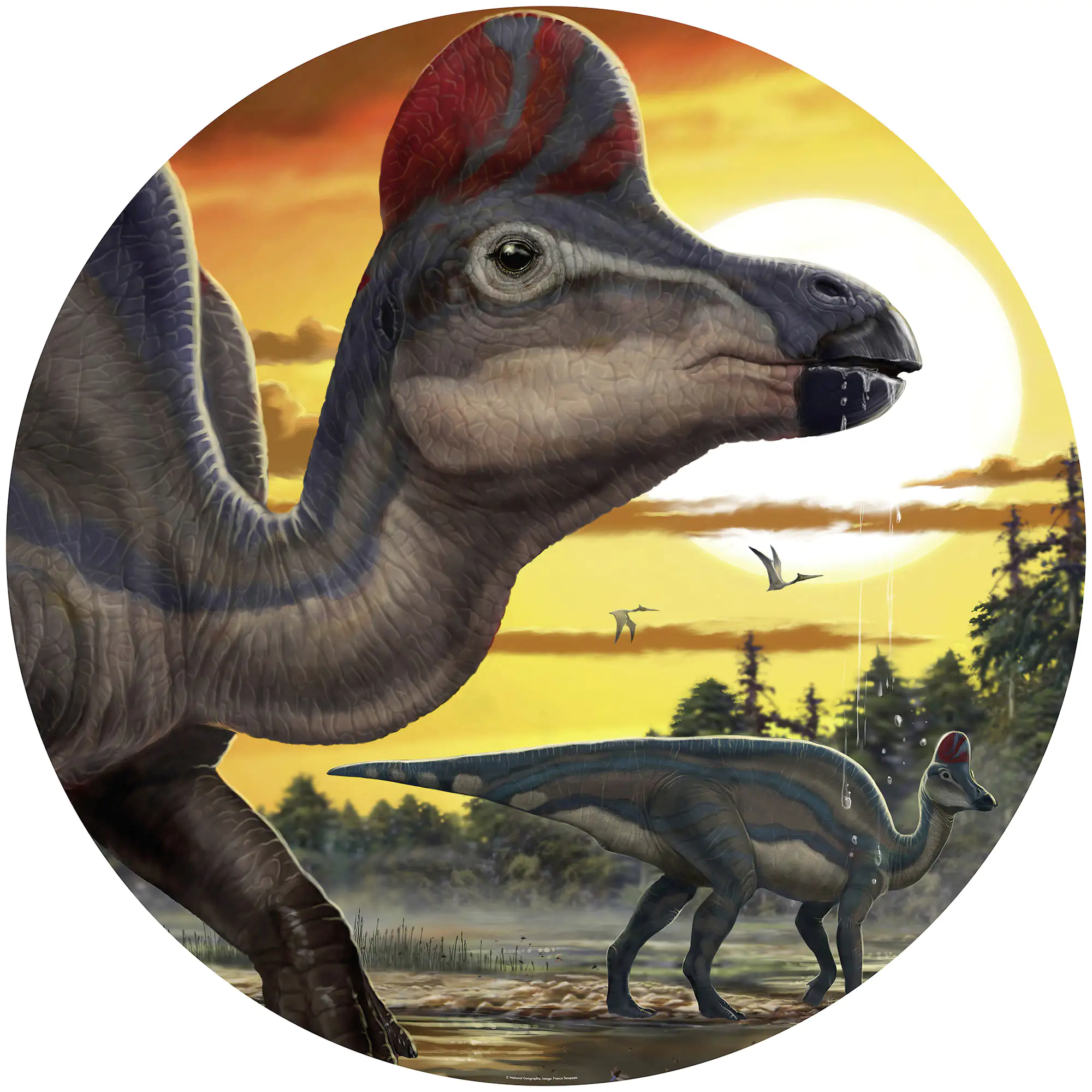 Komar Vlies Fototapete Dot Corythosaurus Sunse Ø 128 cm, selbstklebend