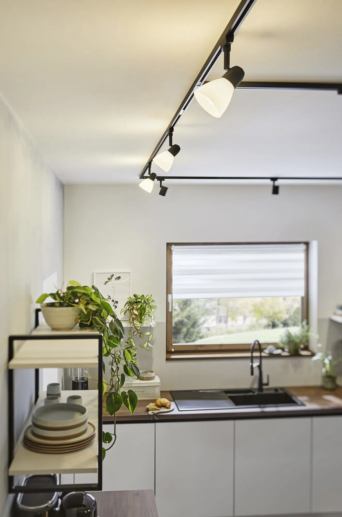 Paulmann URail LED Einzelspot Limba schwarz matt warmweiß