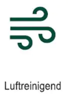 Monstera Monkey Leaf Fensterblatt 30 cm 12 cm Topf