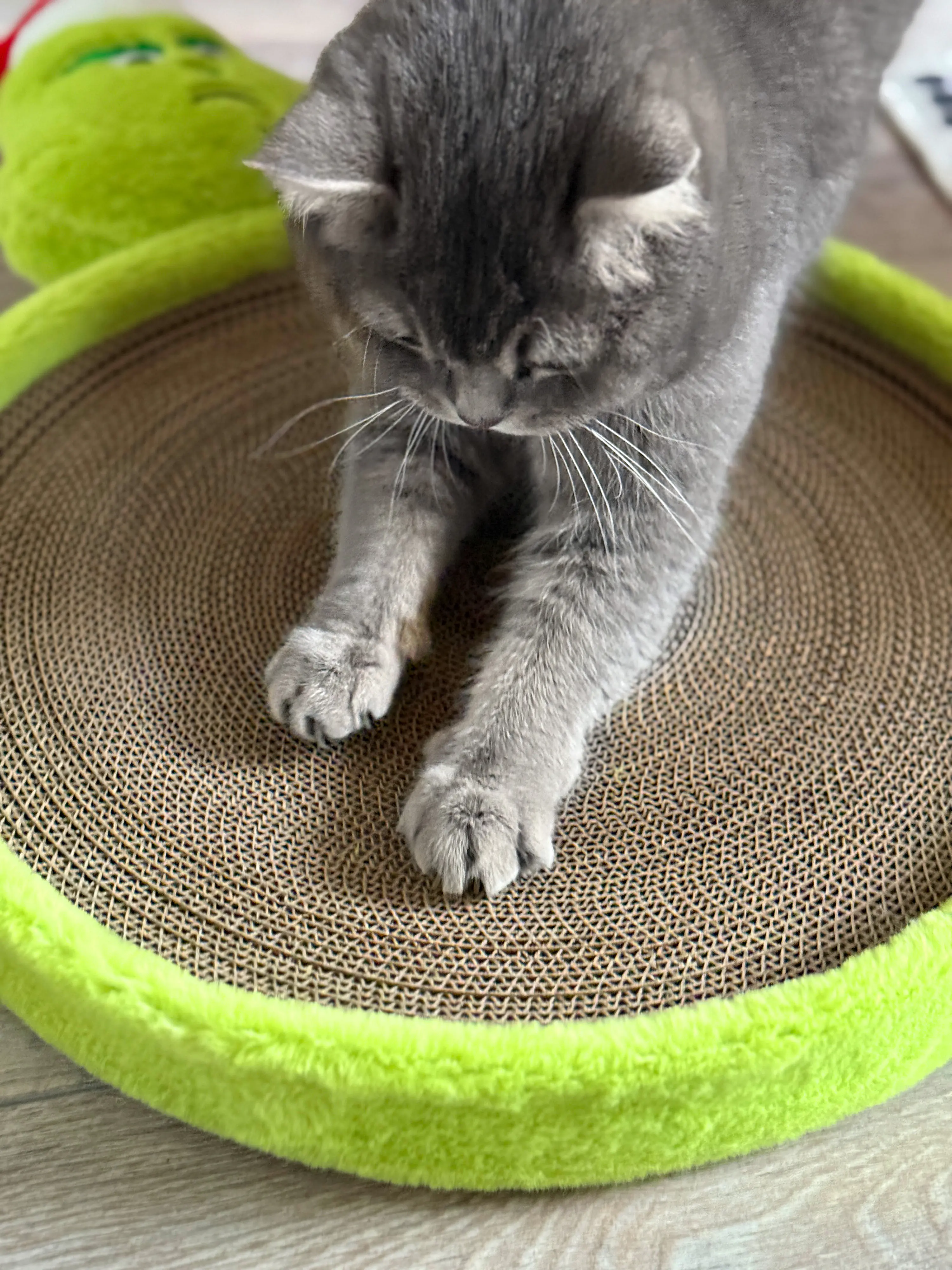 Aumüller Katzenspielzeug Weihnachtsmuffel Kratzpappe 58 cm grün Aumüller Katzenspielzeug Weihnachtsmuffel Kratzpappe 58 cm grün