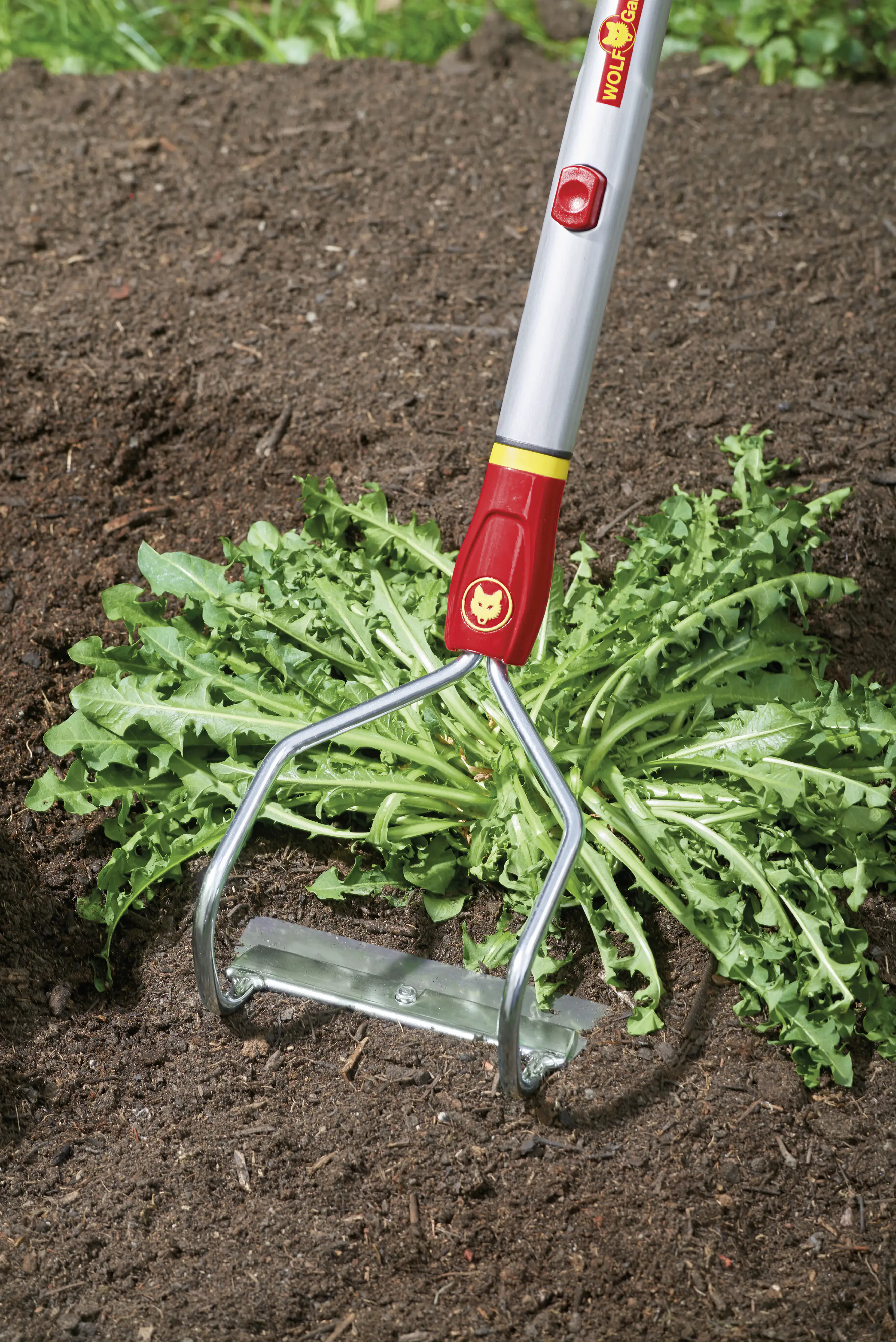 Wolf Garten Bügeljäter HO-M 15 15 cm Arbeitsbreite