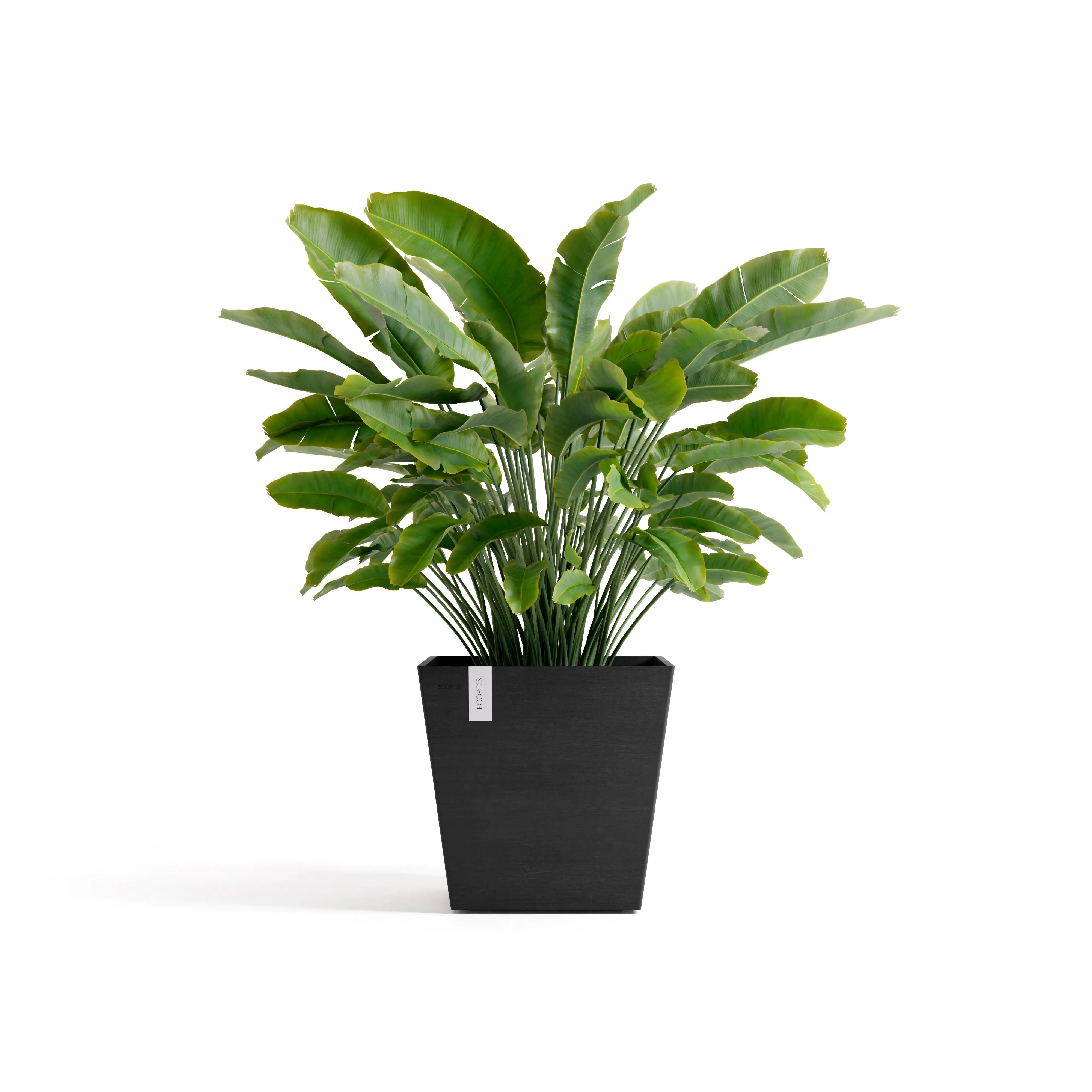 Ecopots Pflanztopf Rotterdam 45 x 45 x 44 cm dunkelgrau Ecopots Pflanztopf Rotterdam 45 x 45 x 44 cm dunkelgrau