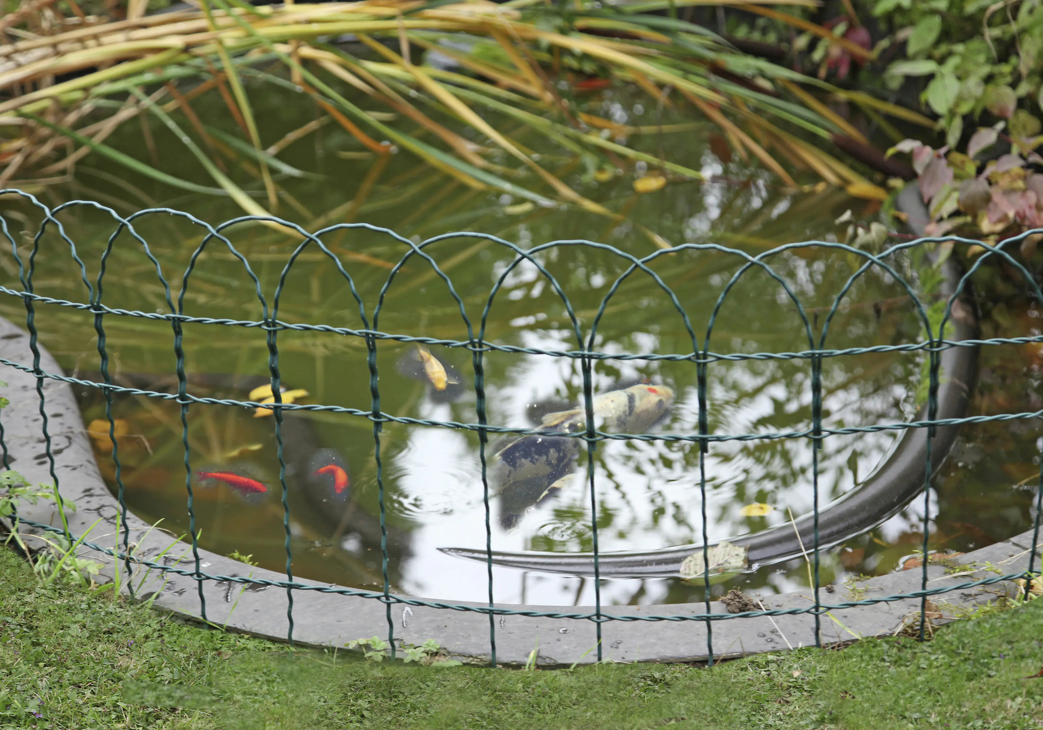 Floraworld Knotengeflecht-Zaun 10 m x 90 cm moosgrün