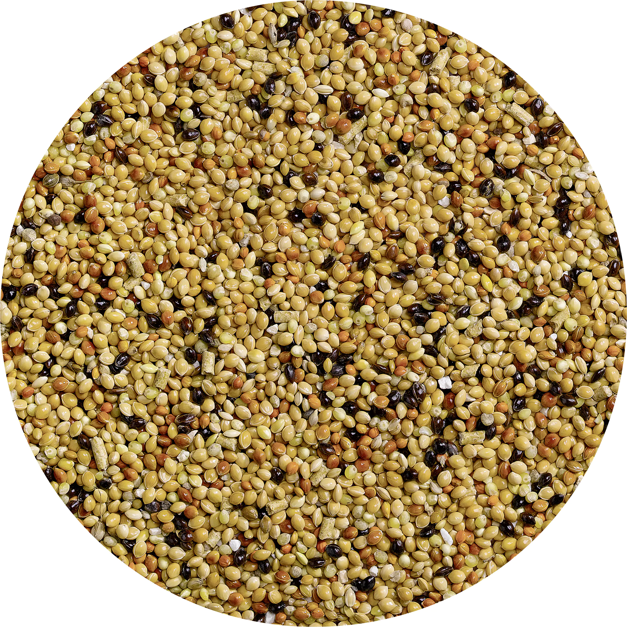 Vitakraft Jod Rapid 20 g Vitakraft Jod Rapid 20 g