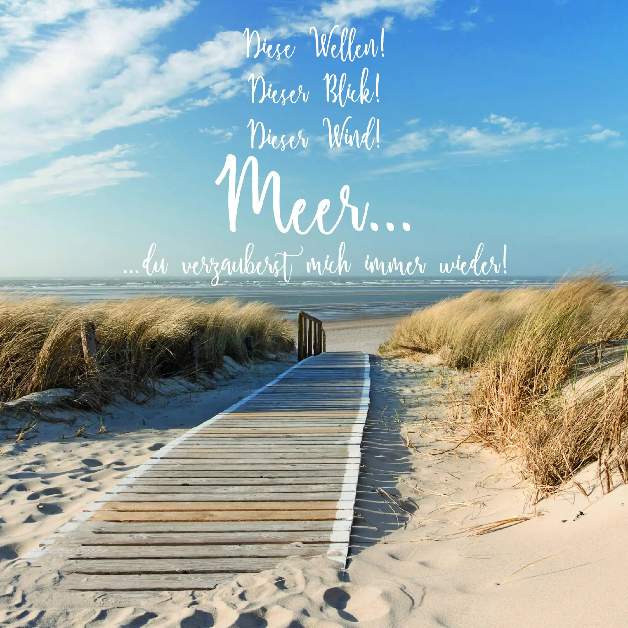 Deco-Block Bild - Meereszauber 39 x 39 cm