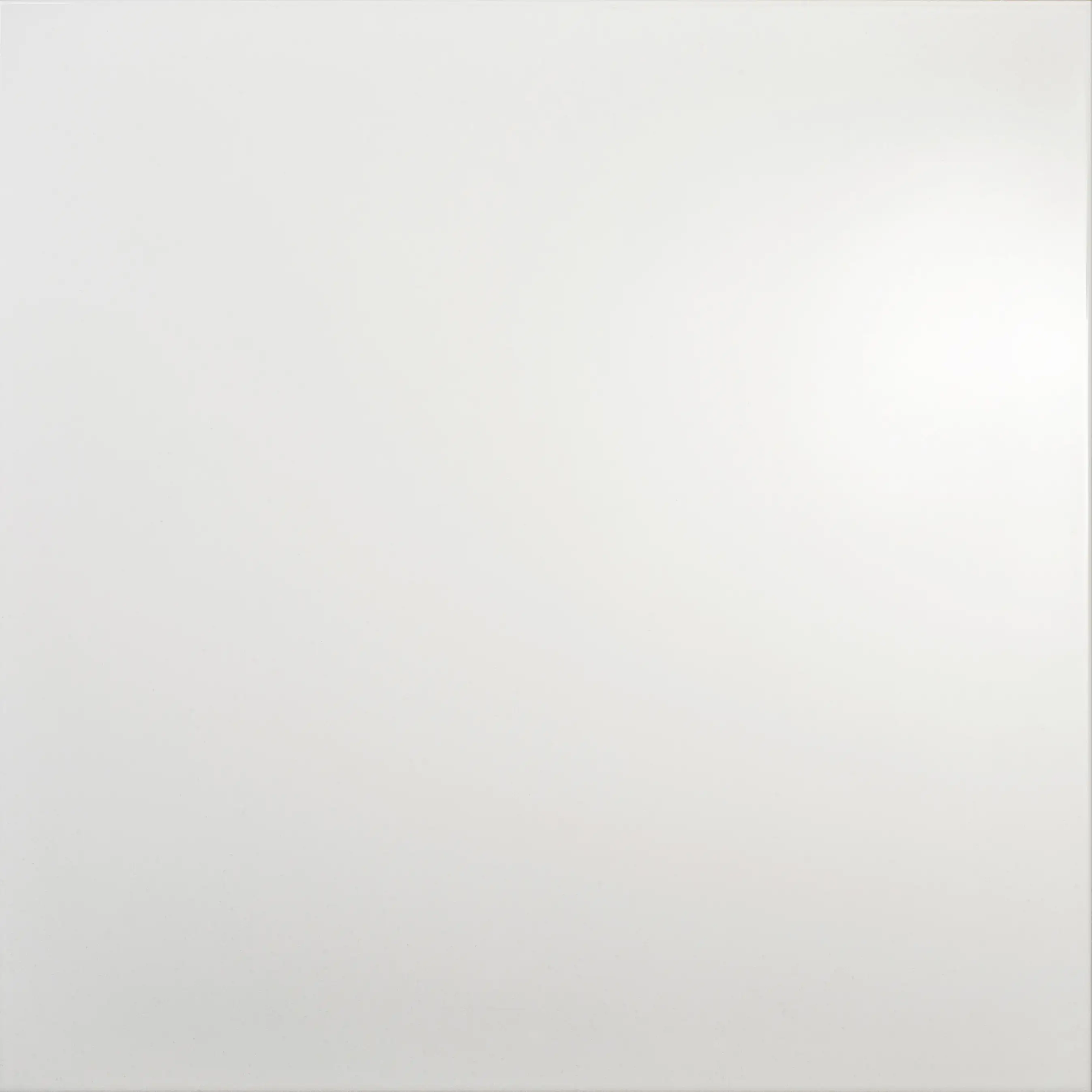 Bodenfliese Steinzeug Alaska 60 x 60 cm weiß glänzend