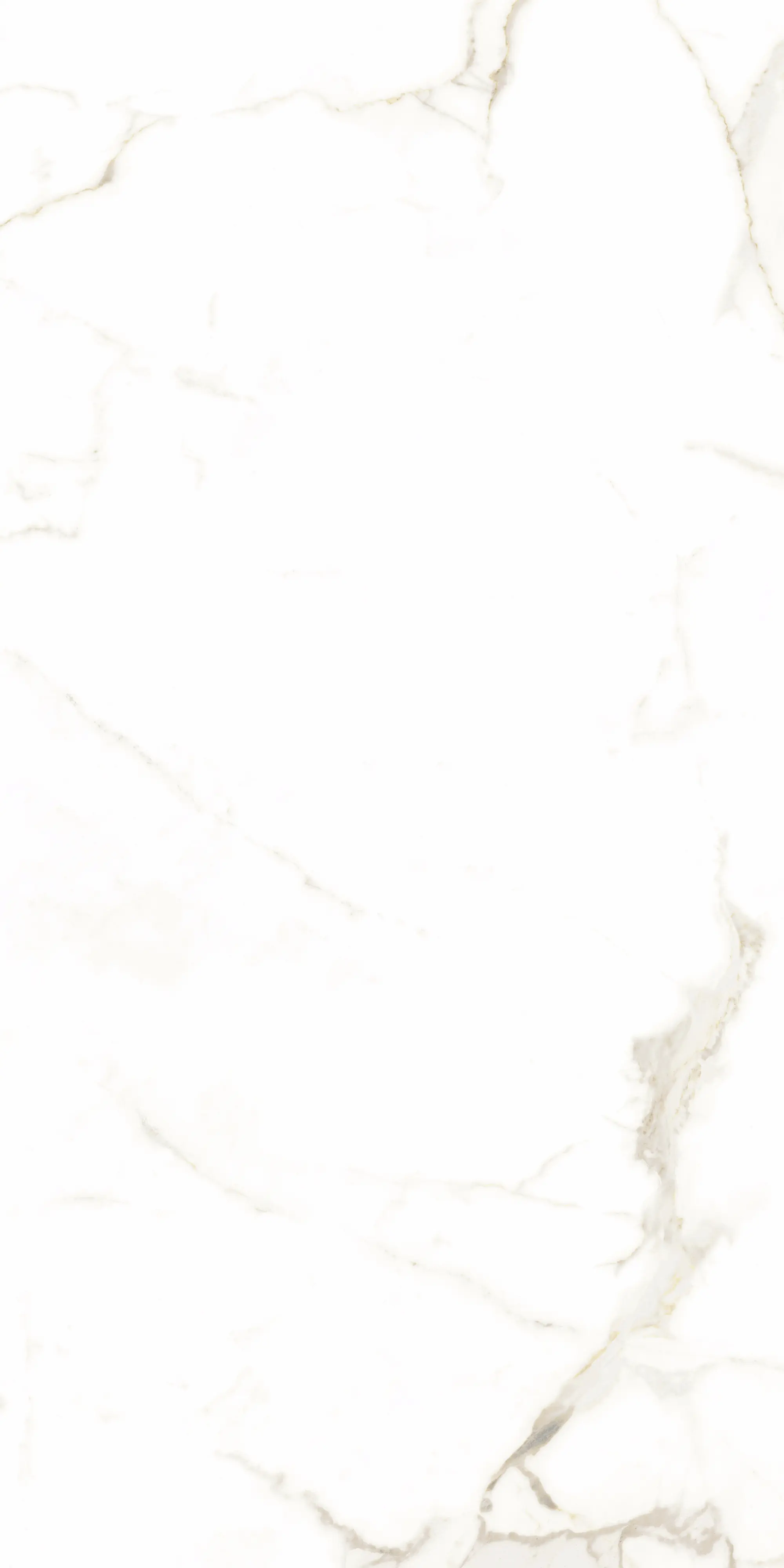 Bodenfliese Feinsteinzeug Alcora 60 x 120 cm weiß/gold