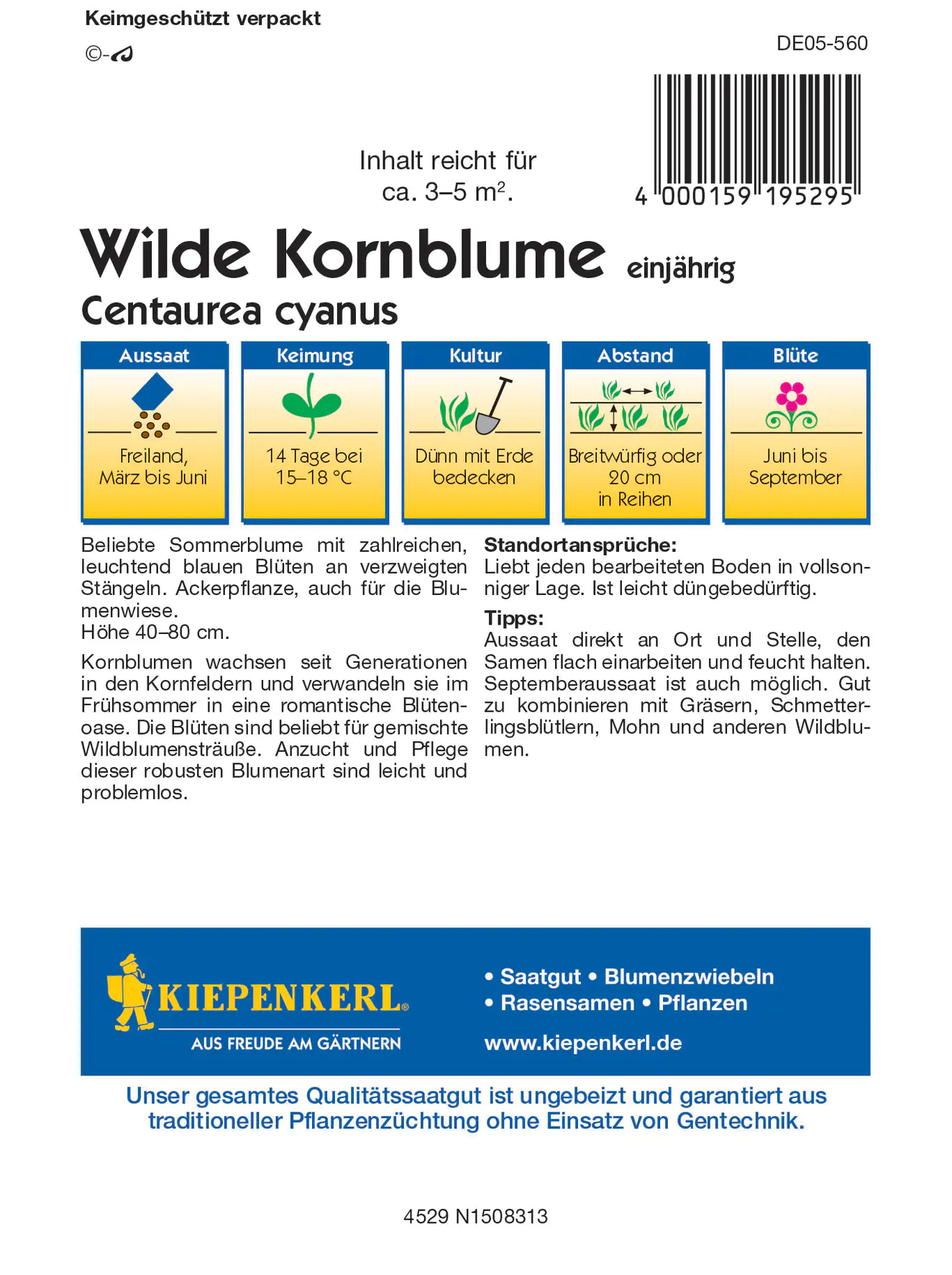Kiepenkerl Wilde Kornblume
