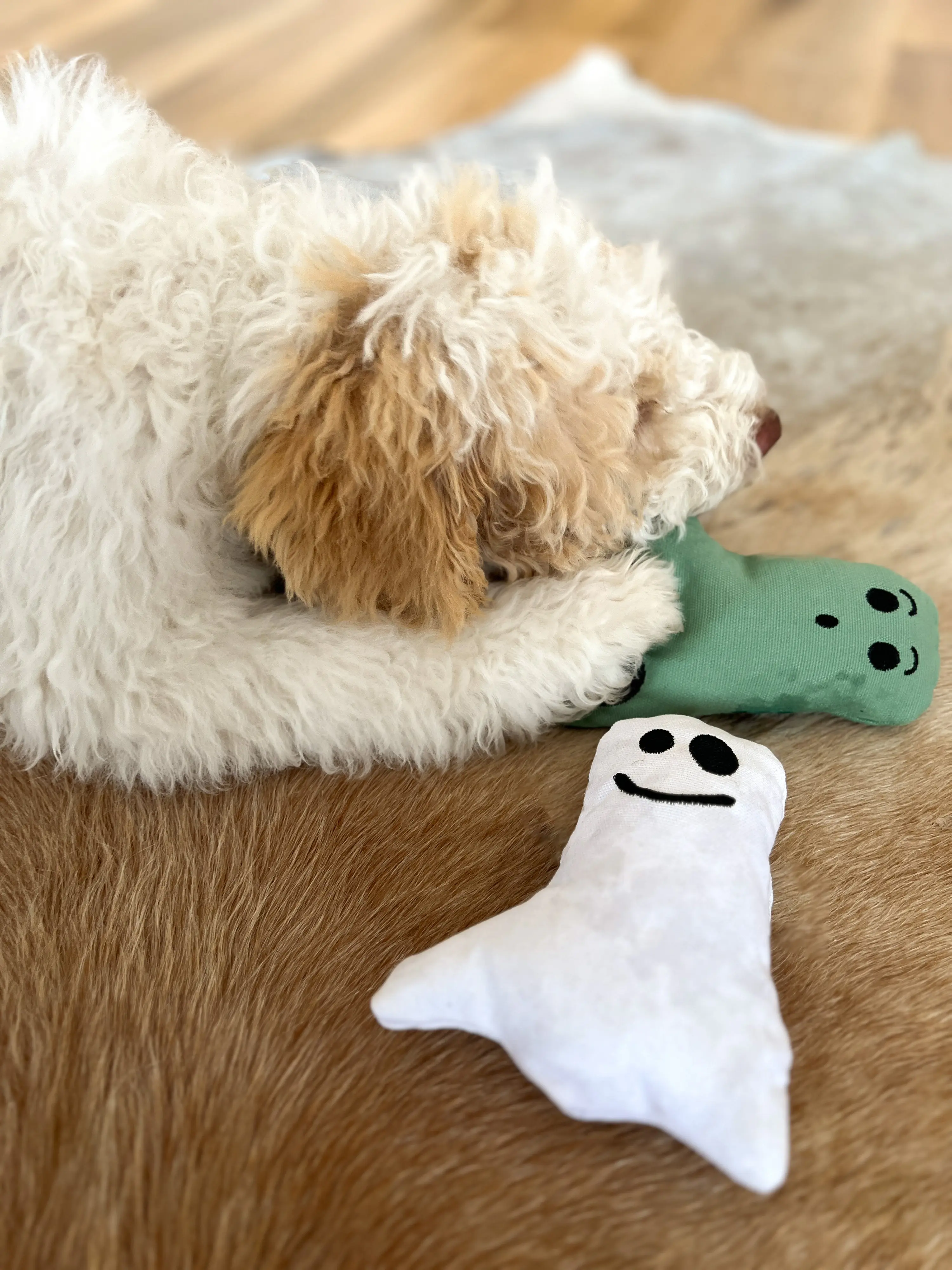 Aumüller Hundespielzeug Geist 16 cm grün Aumüller Hundespielzeug Geist 16 cm grün