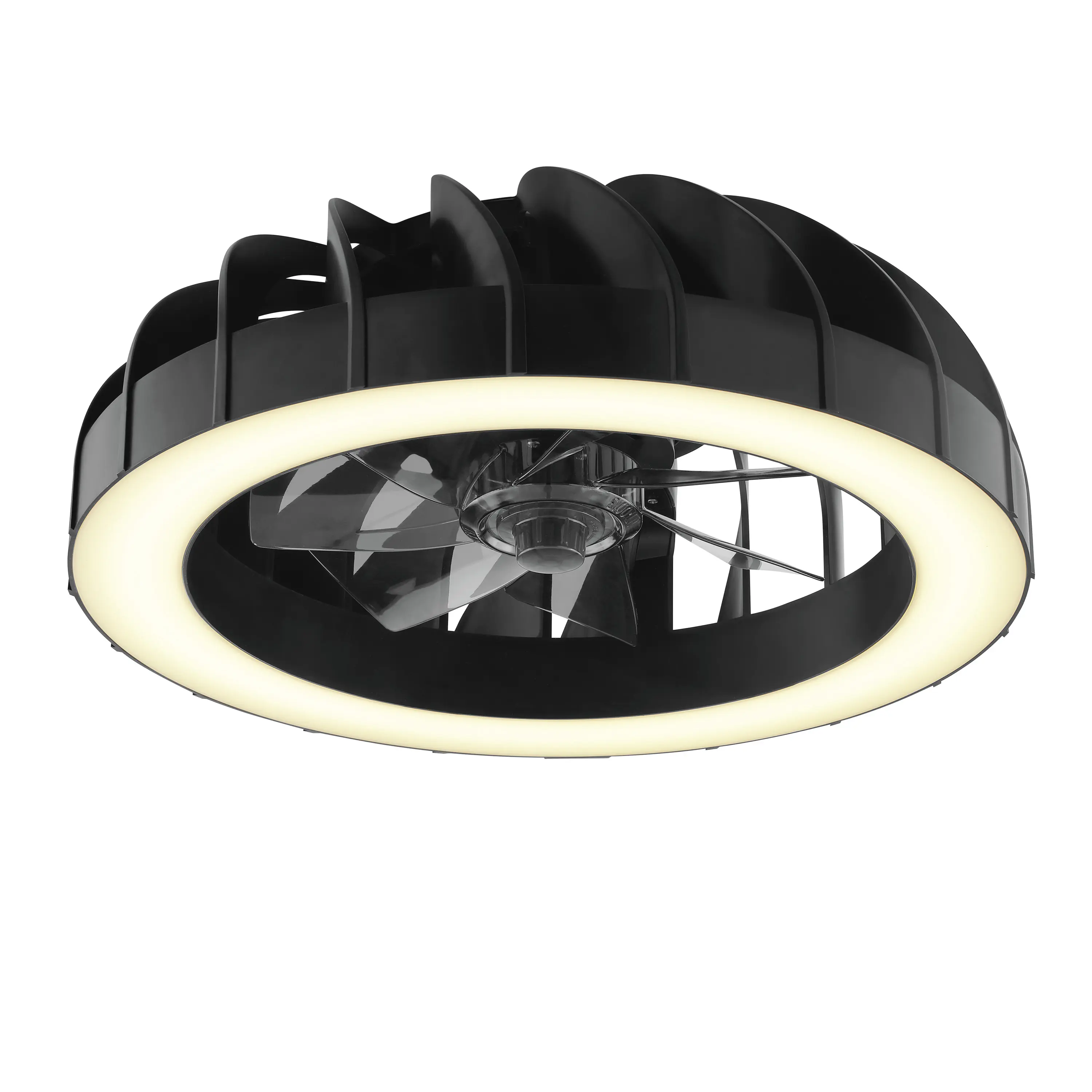 Briliant Deckenleuchte Fanora mit Ventilator 30W Ø 46 cm RGB schwarz