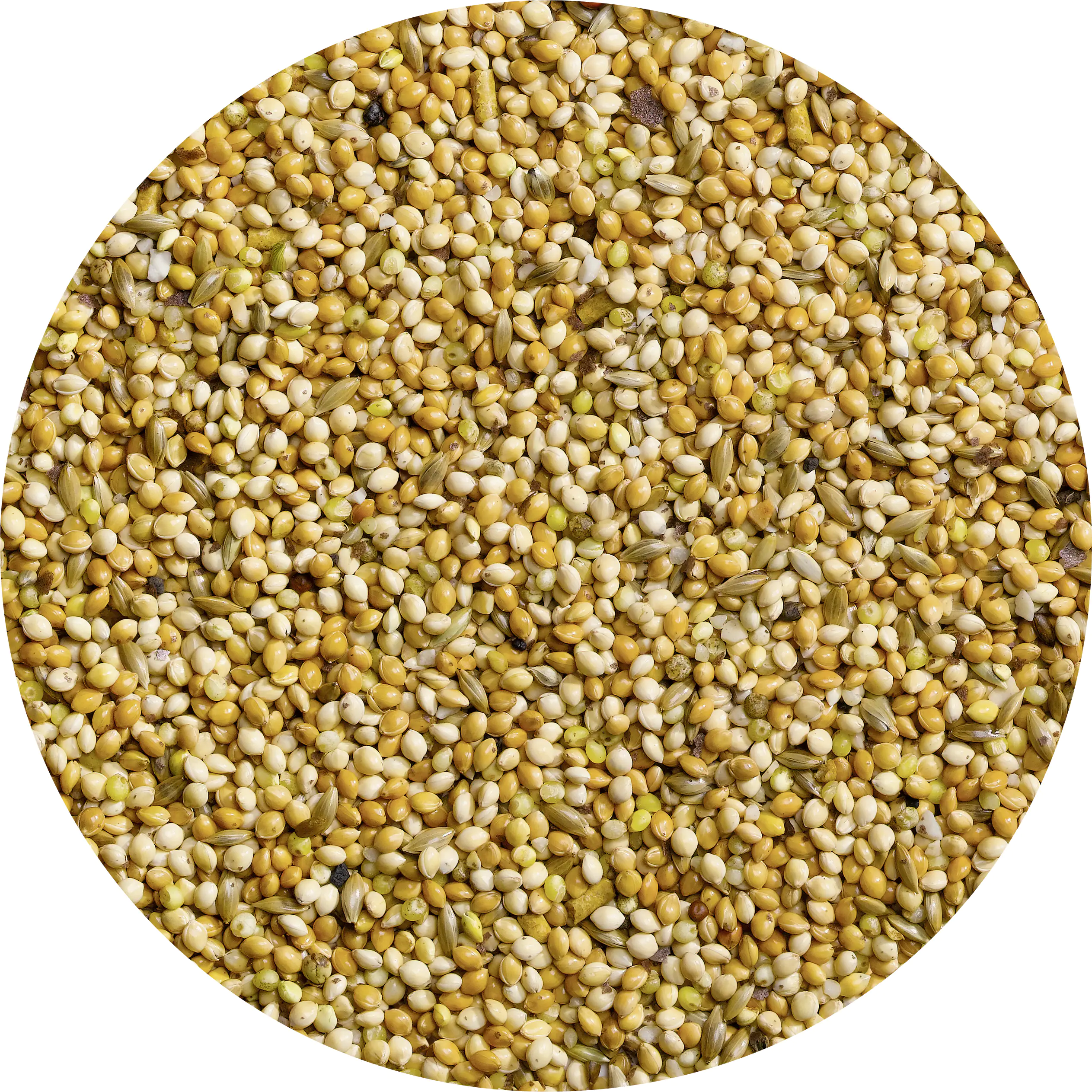 Vitakraft Sprech Perlen 20 g Vitakraft Sprech Perlen 20 g