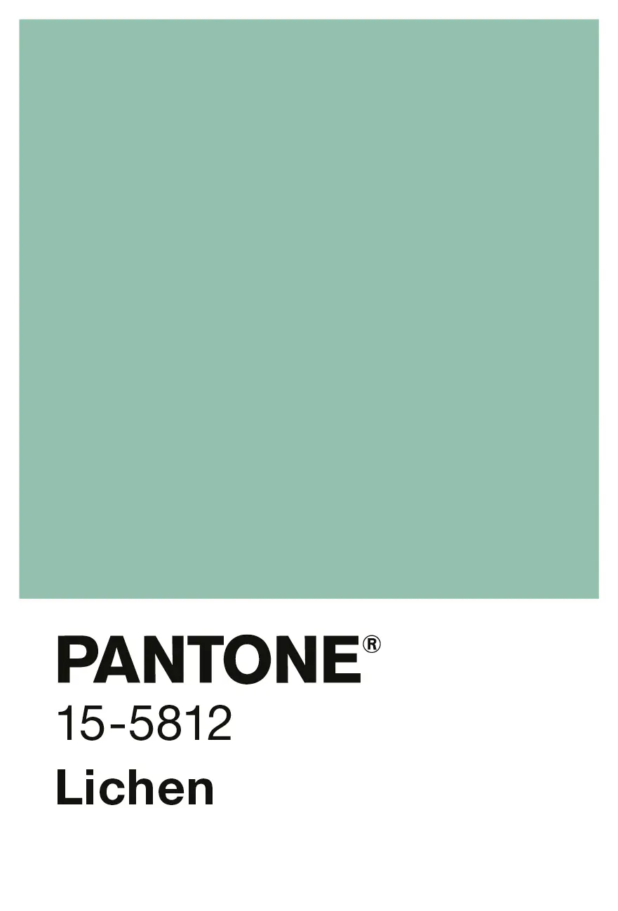 Alpina Wandfarbe Pantone matt lichen 2,5 L