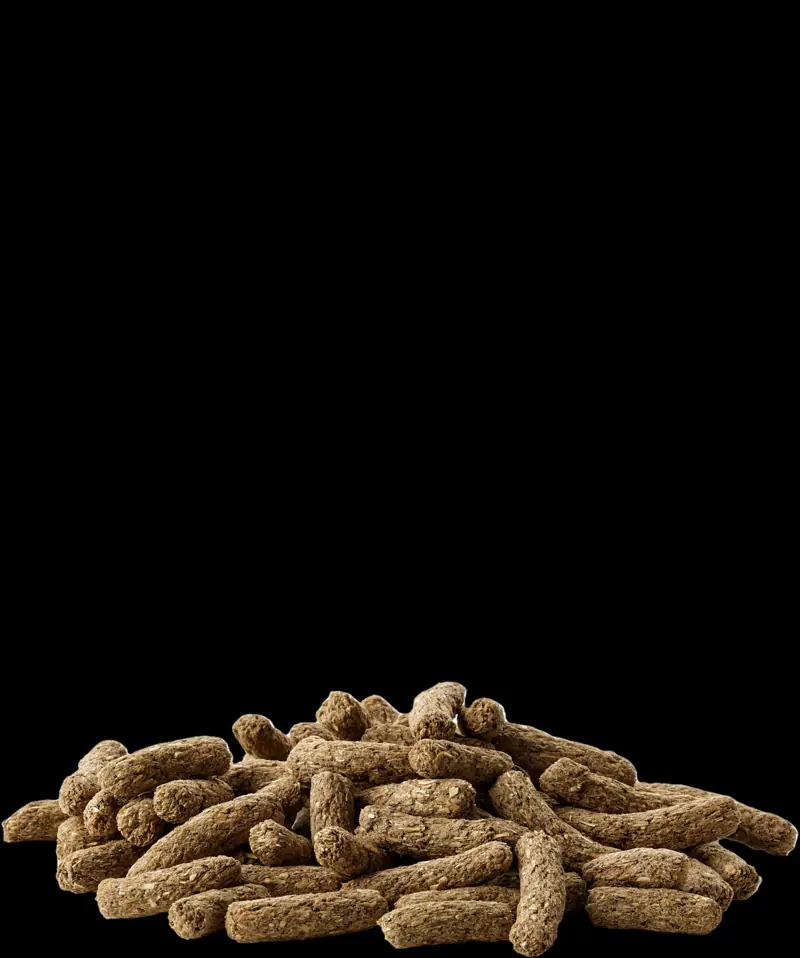 Complete Meerschweinchenfutter Cavia 3 kg