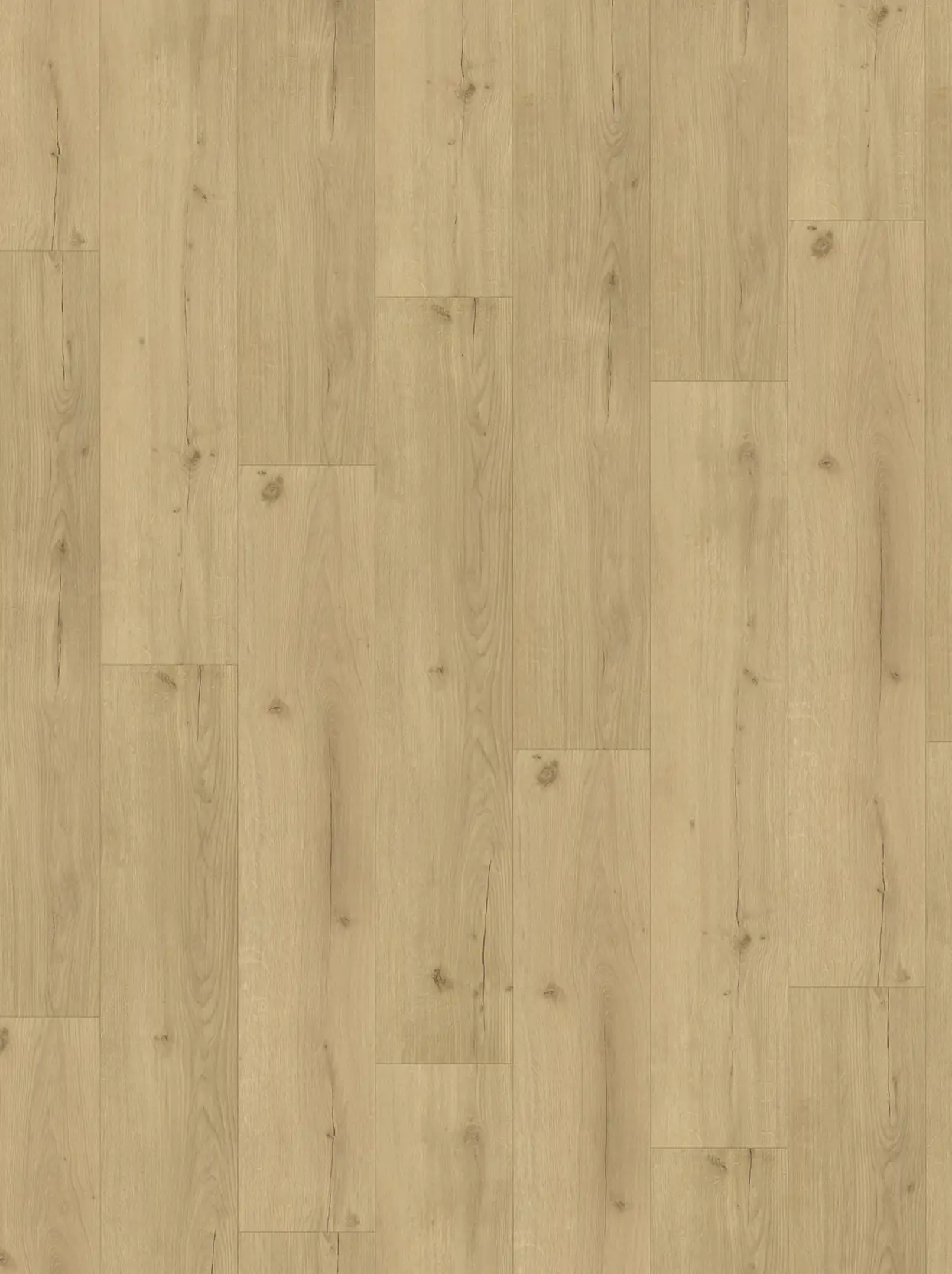 Parador Vinyl Basic 5.3 Eiche Infinity natur Landhausdiele