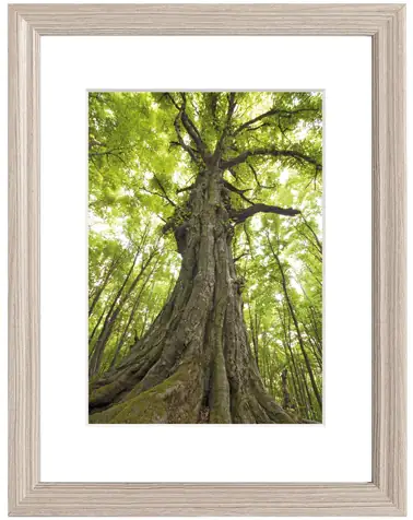 Blockrahmen Riga grau, 30 x 40 cm