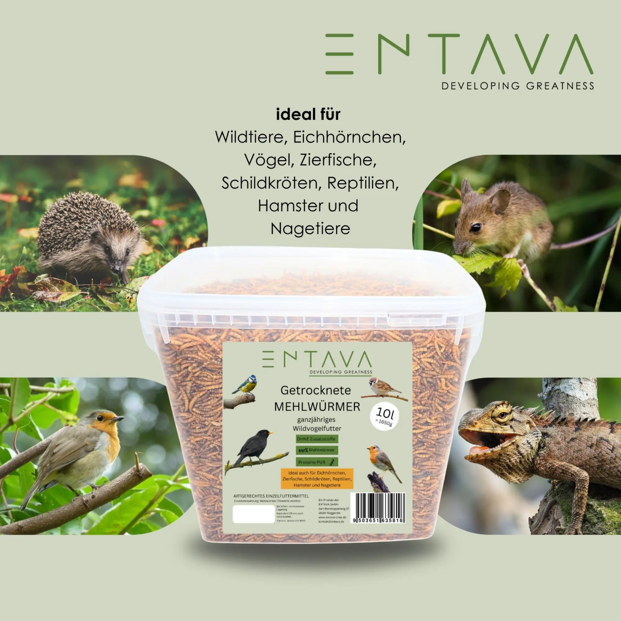 Entava Wildvogelfutter getrocknete Mehlwürmer 10 l Eimer