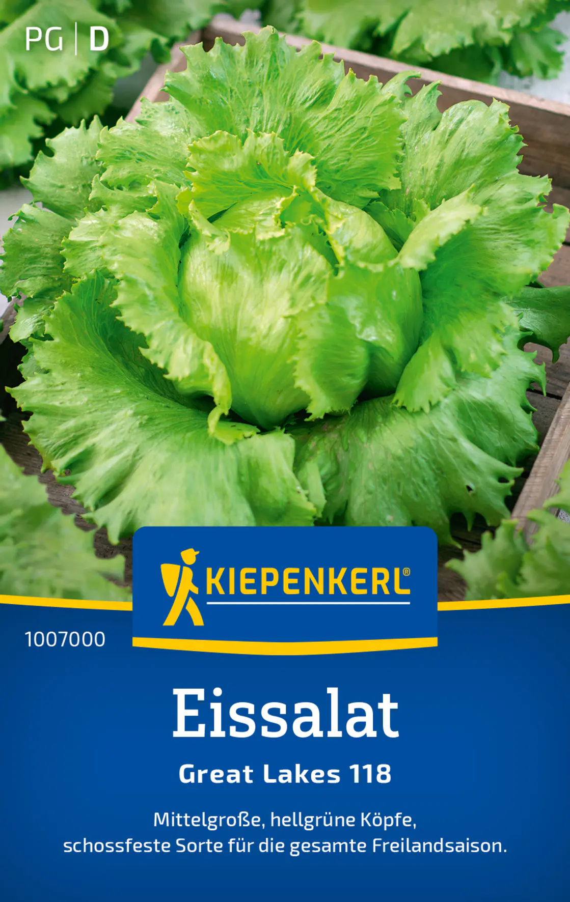 Kiepenkerl Eissalat Great Lakes 118 