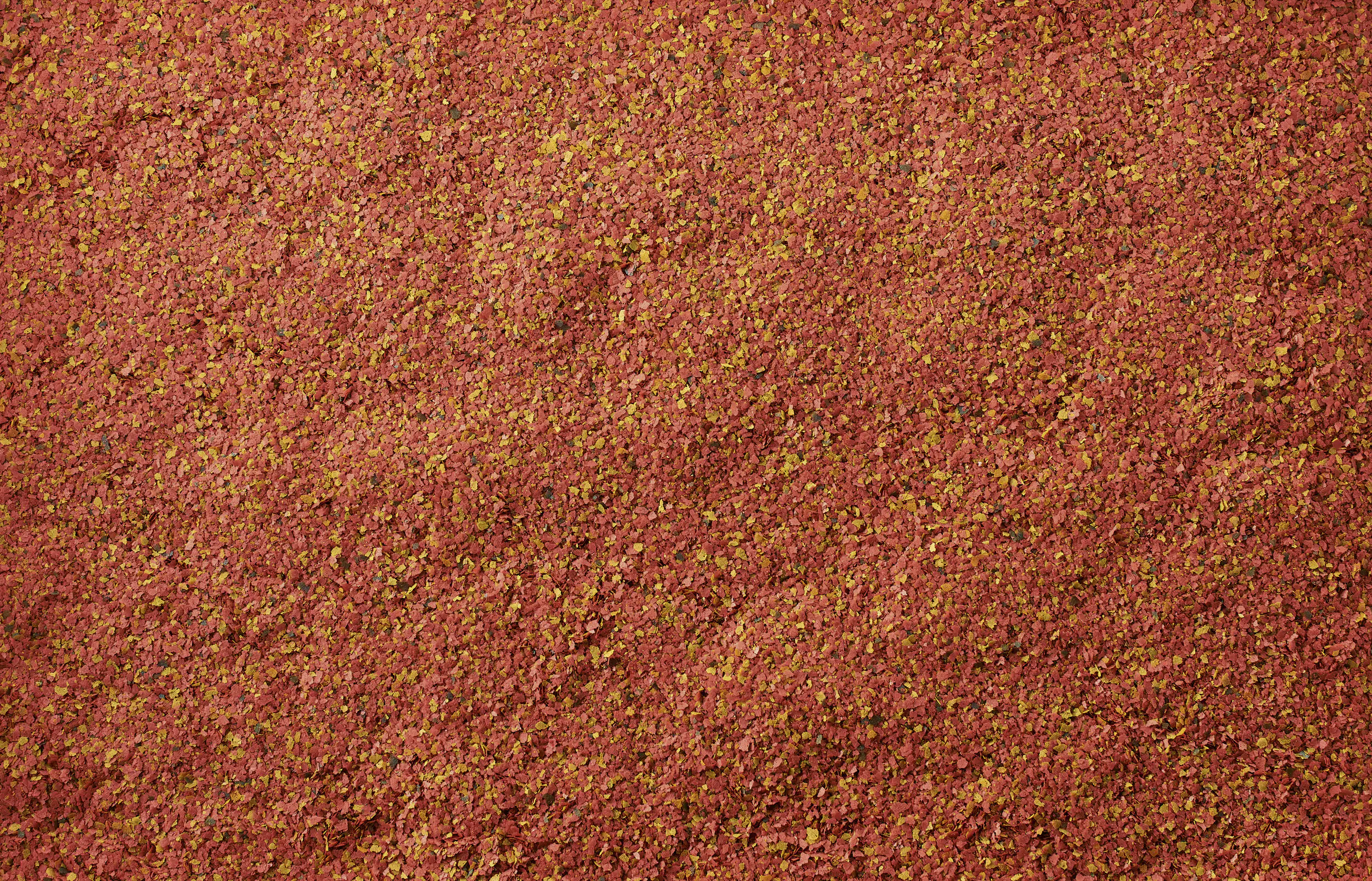 Tetra Wafer Mix 100 ml