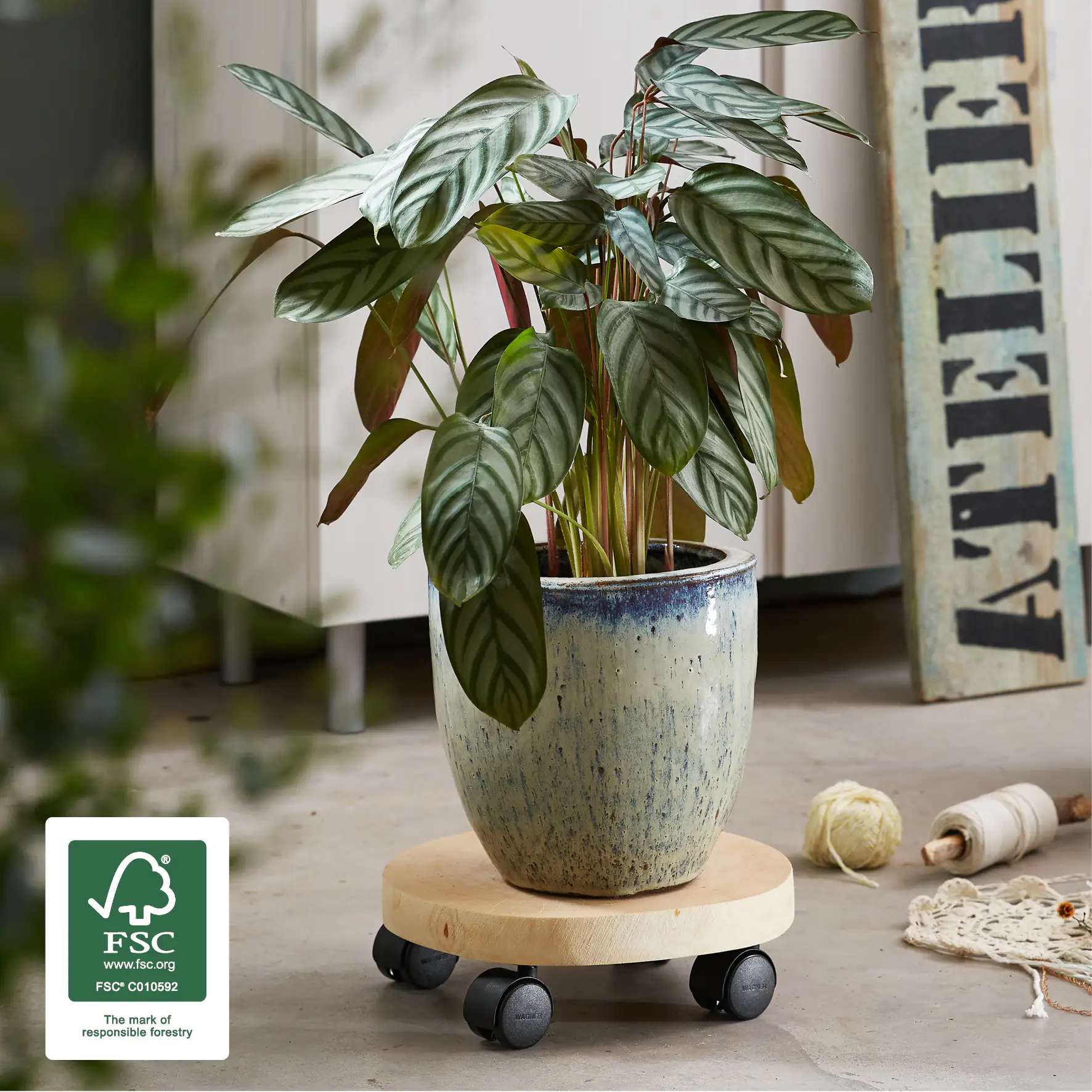 WAGNER Pflanzenroller Baumstamm rund Ø 25-30 cm Tragkraft bis max. 50 kg WAGNER Pflanzenroller Baumstamm rund Ø 25-30 cm Tragkraft bis max. 50 kg