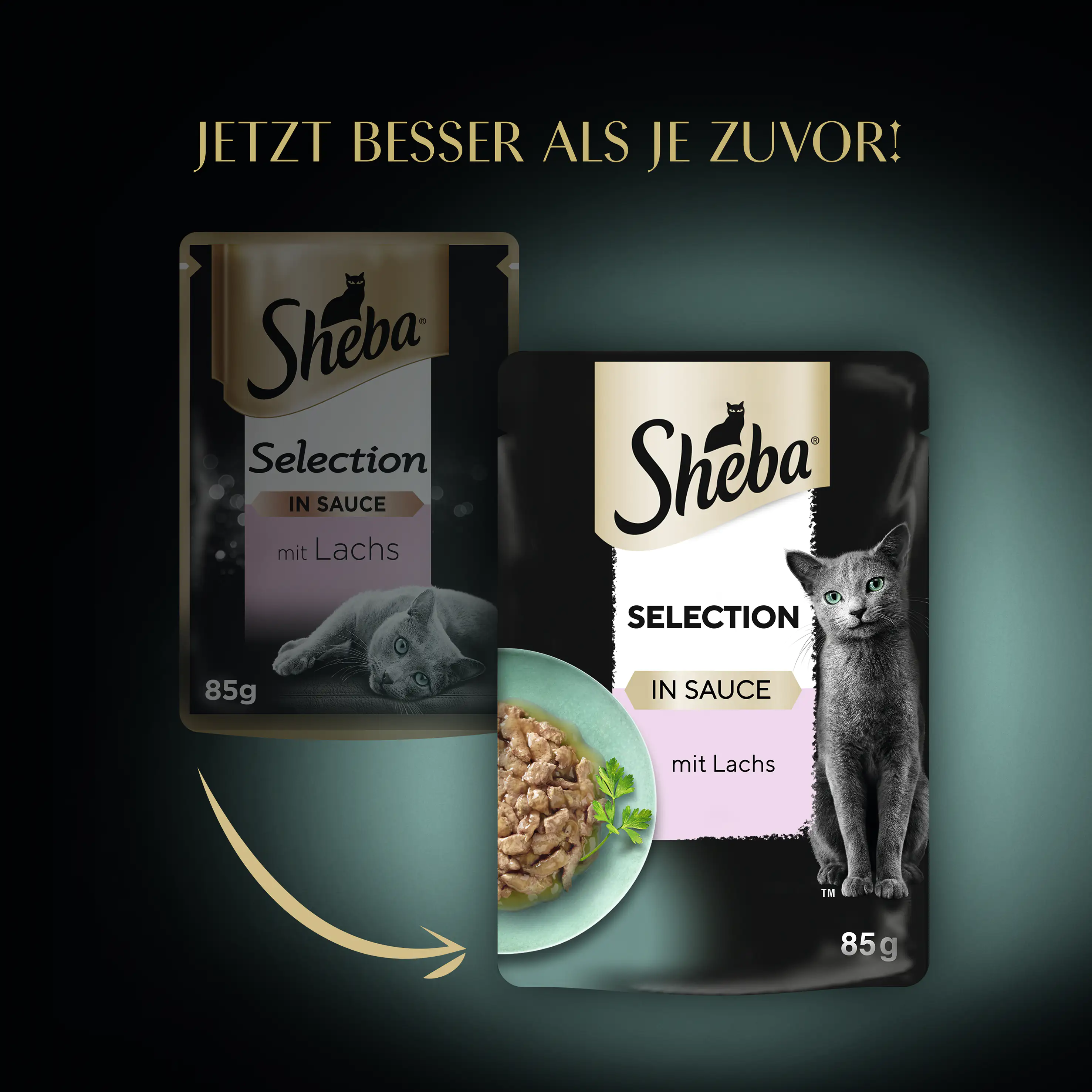 Sheba Katzennassfutter Lachs in Soße 85 g Sheba Cuisine 85 g, Lachs Sheba Katzennassfutter Lachs in Soße 85 g Sheba Cuisine 85 g, Lachs