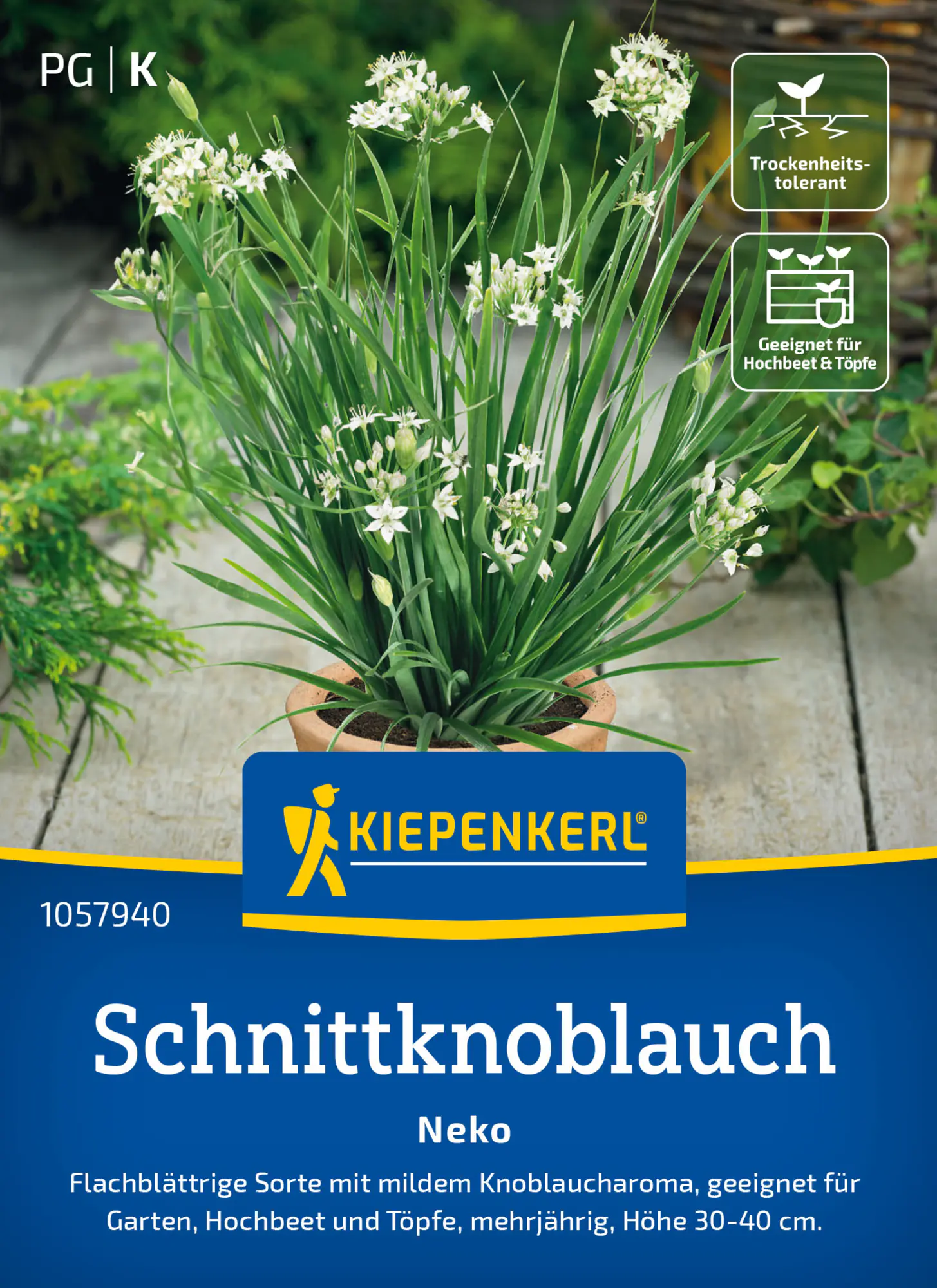 Kiepenkerl Saatgut Schnittknoblauch Neko für ca. 100 Pflanzen