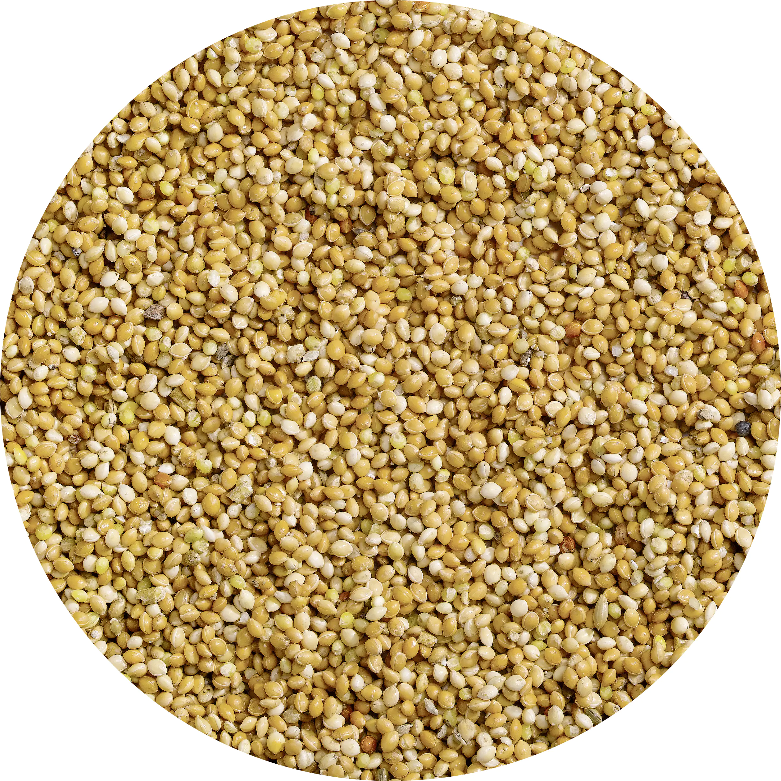 Vitakraft Vogelfutter Honig Perlen 20 g