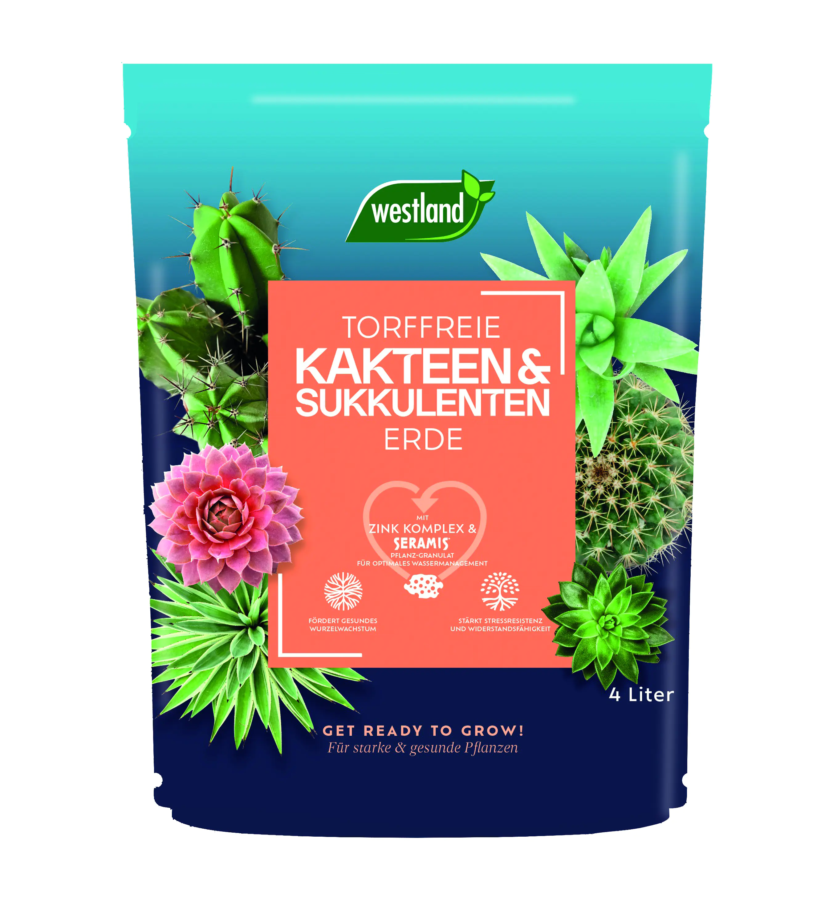 Westland Kakteen Sukkulenten Erde torffrei 4 L Westland Kakteen Sukkulenten Erde torffrei 4 L